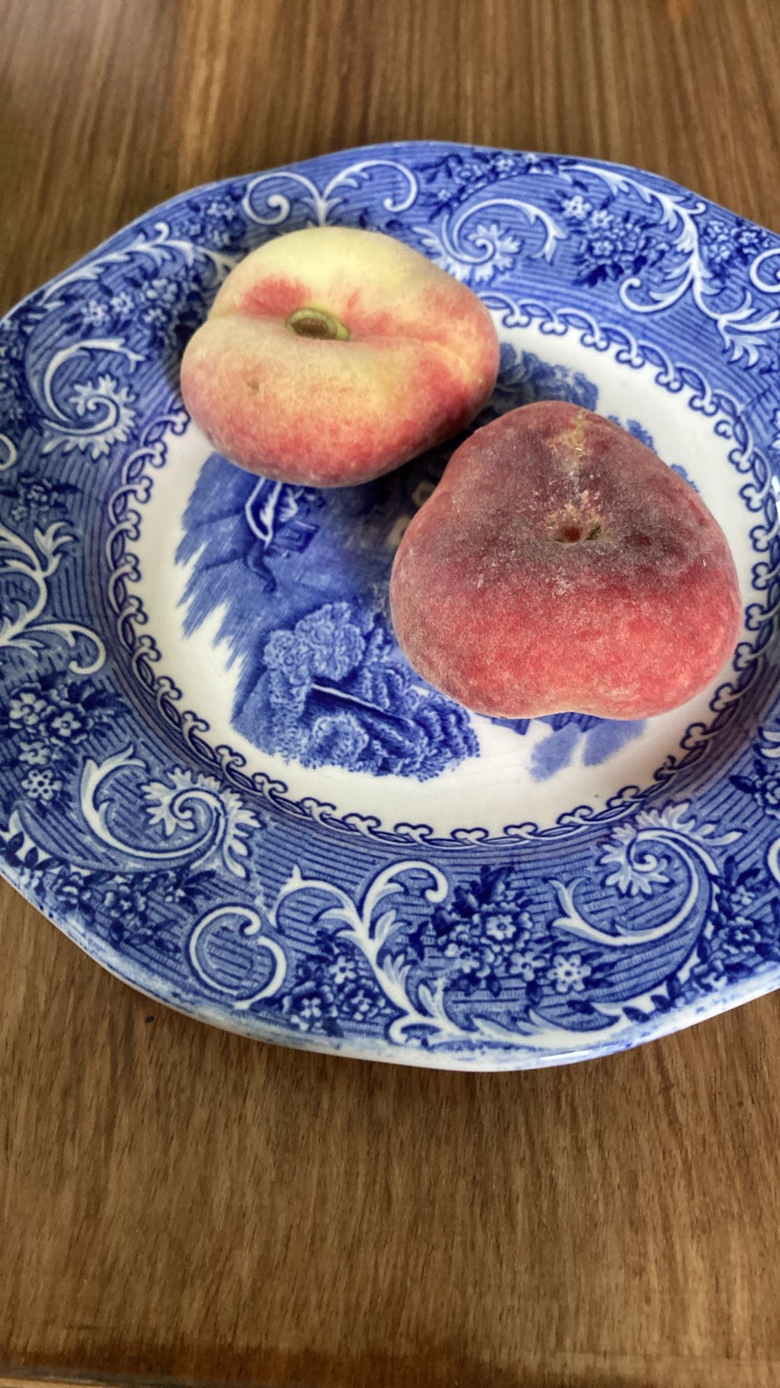 Plattpersikor tallrik