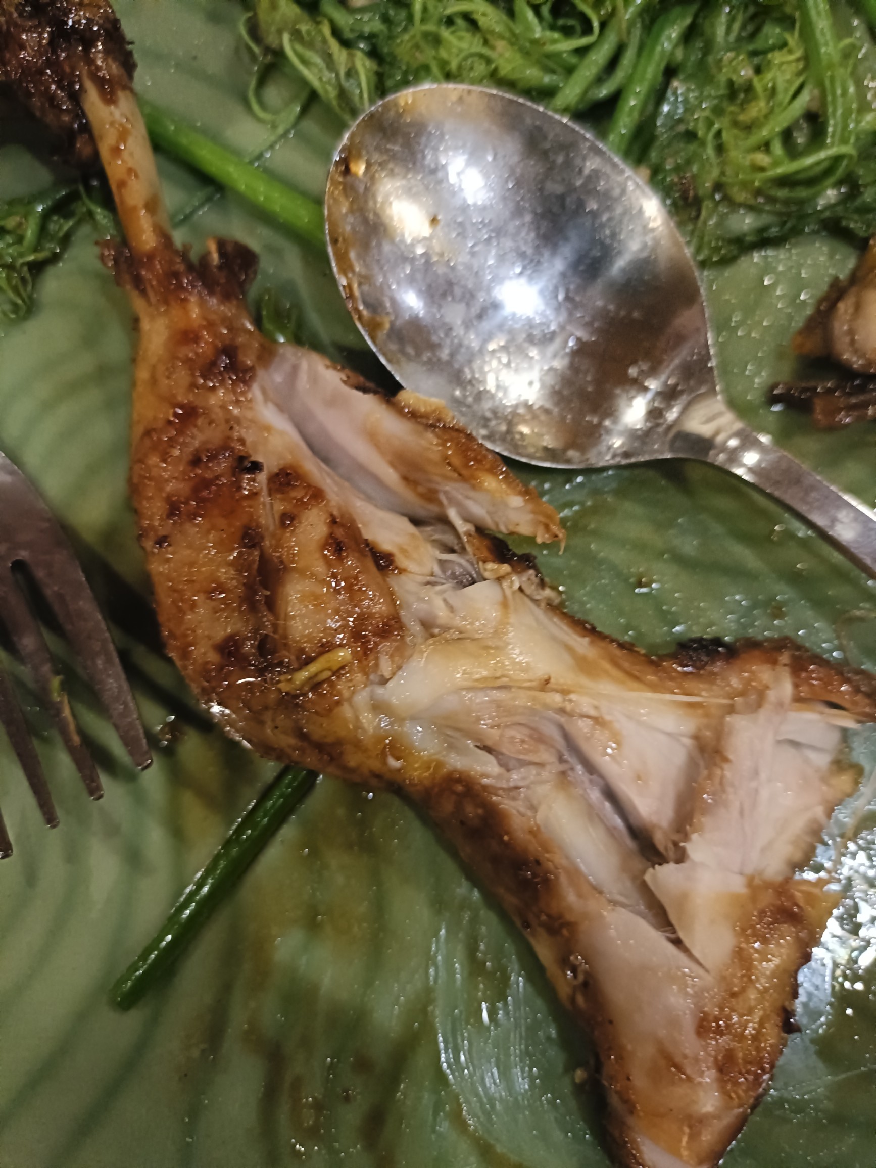 Grilled chicken with greens