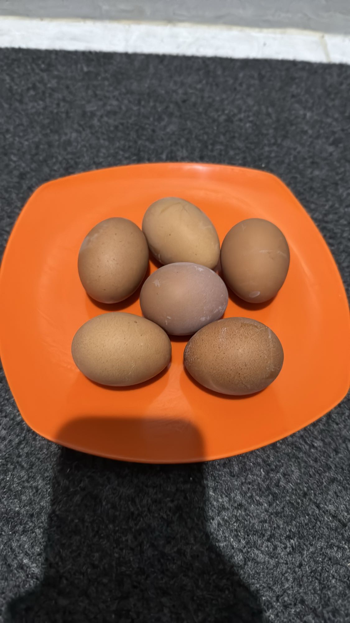 Boiled Eggs Plate
