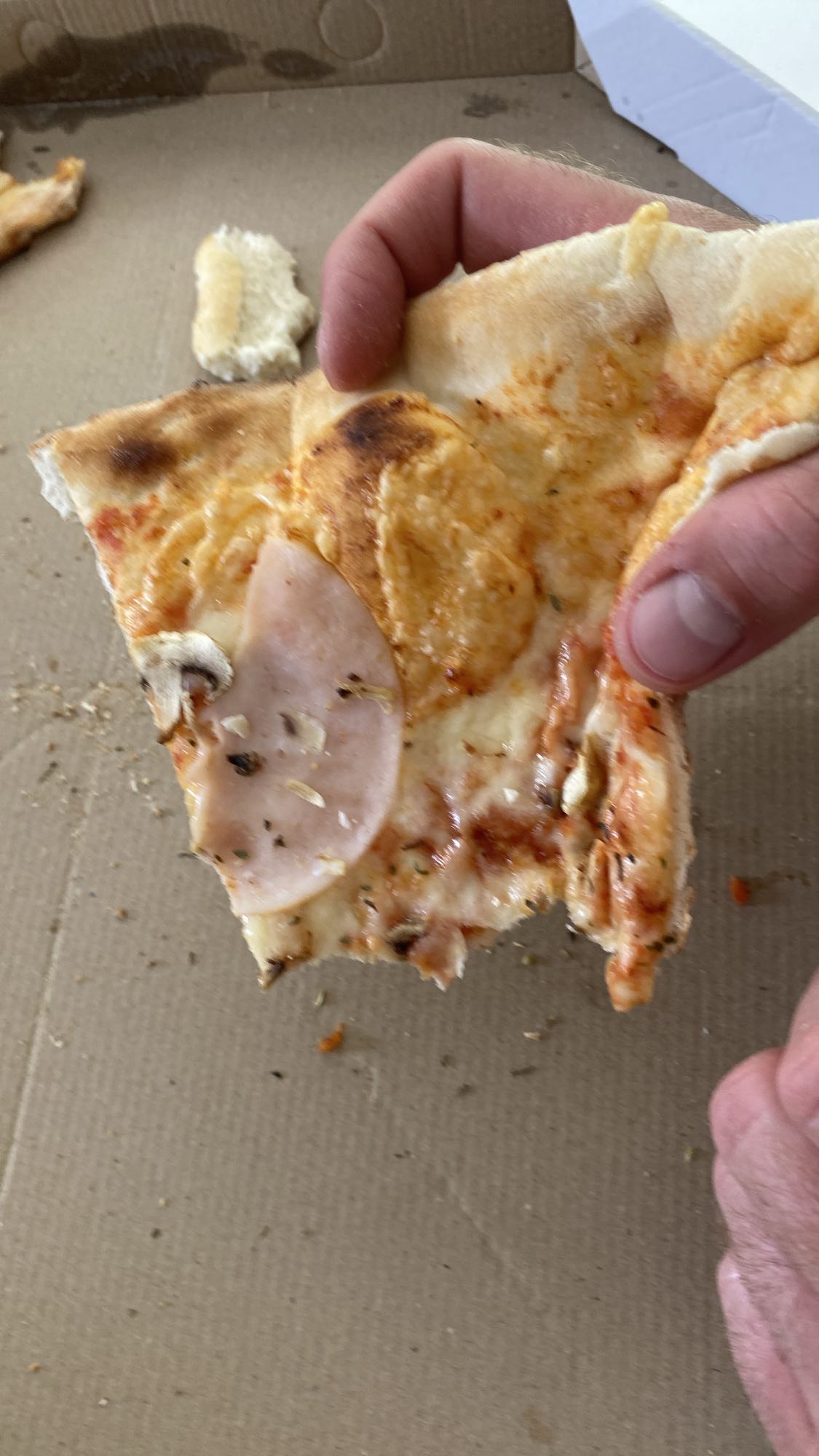 Pizza s šunkom i gljivama
