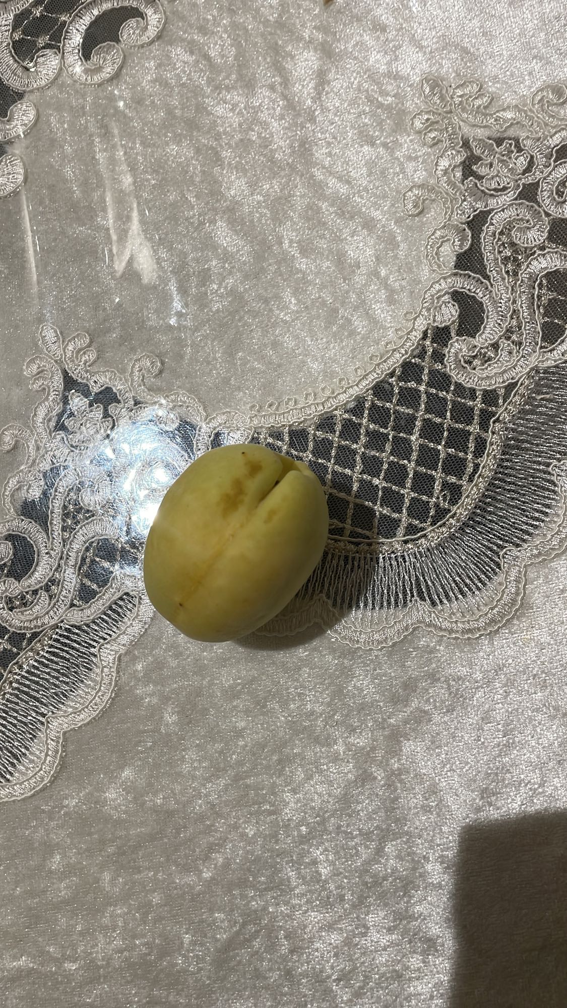 желтая слива