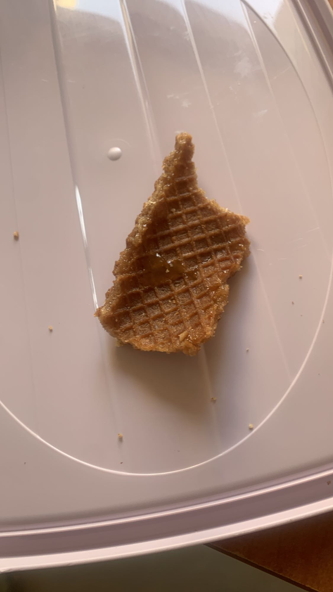 waffle cookie piece
