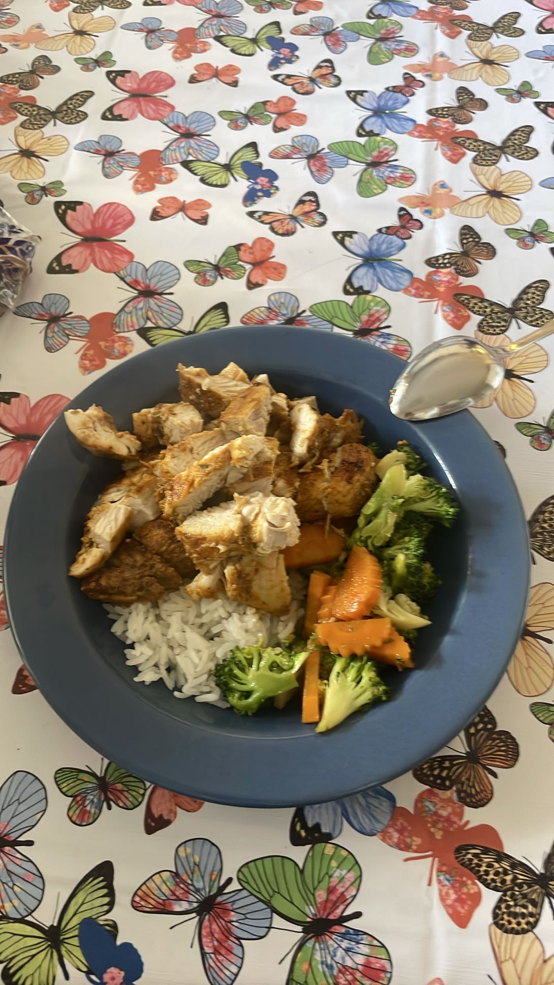 Kyckling med ris och grönsaker