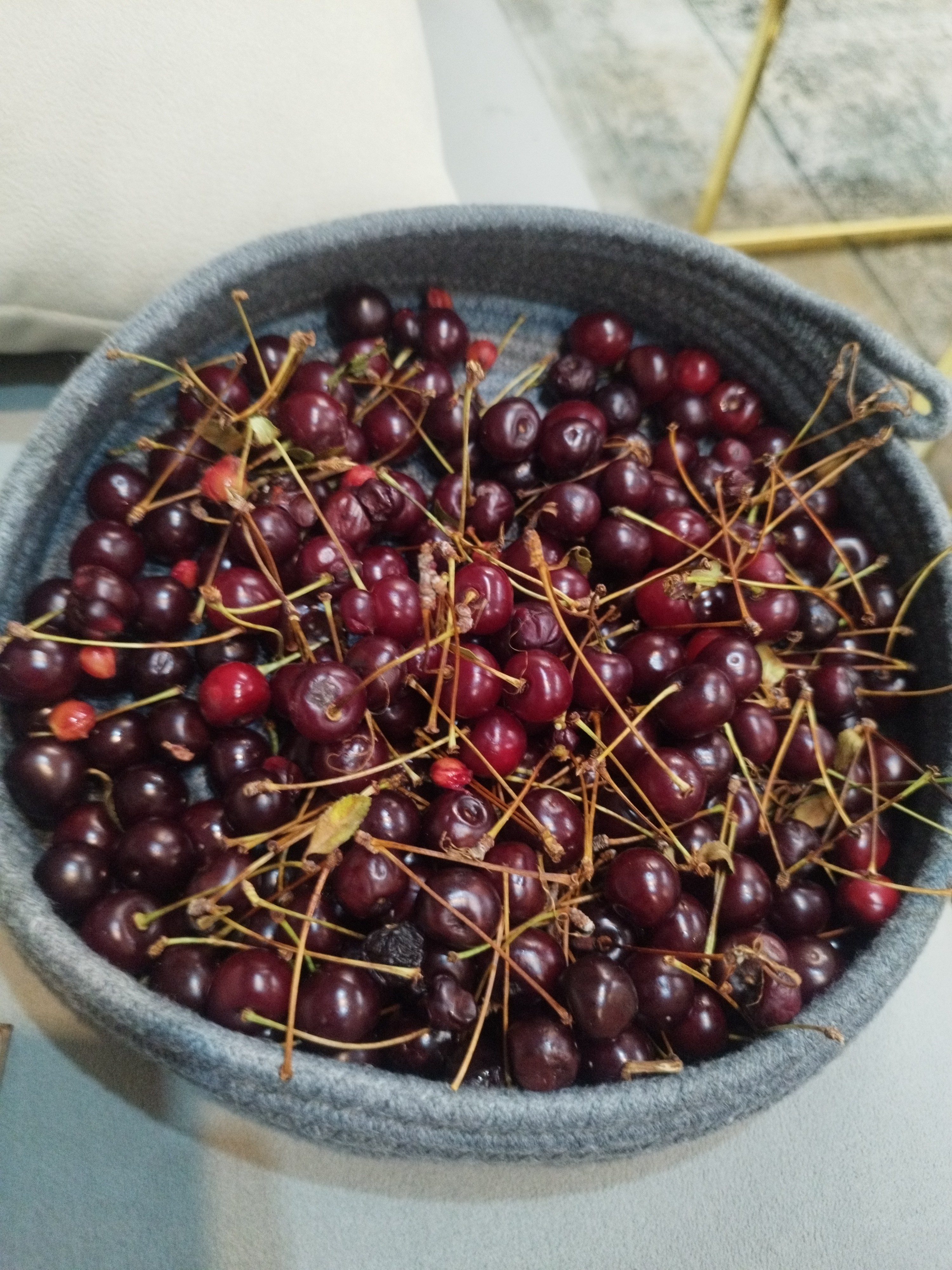 Fresh sour cherries bowl