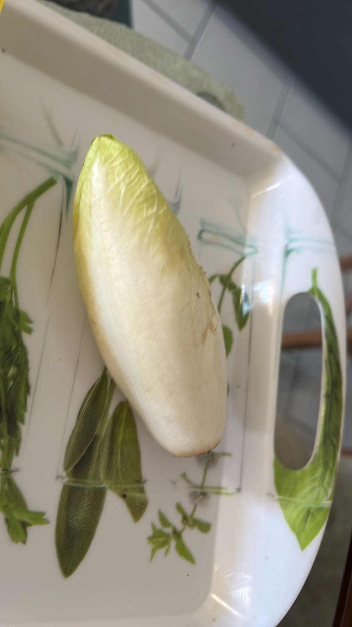 Endive fraîche