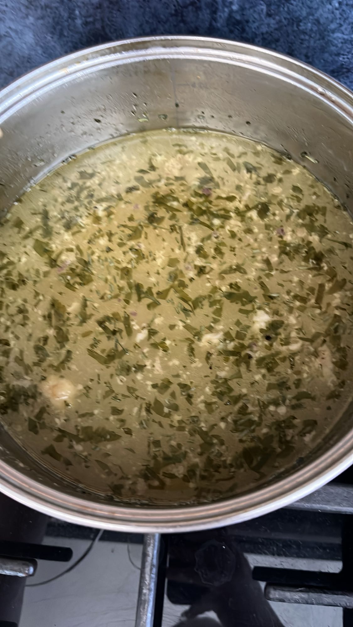 Herb Chicken Soup