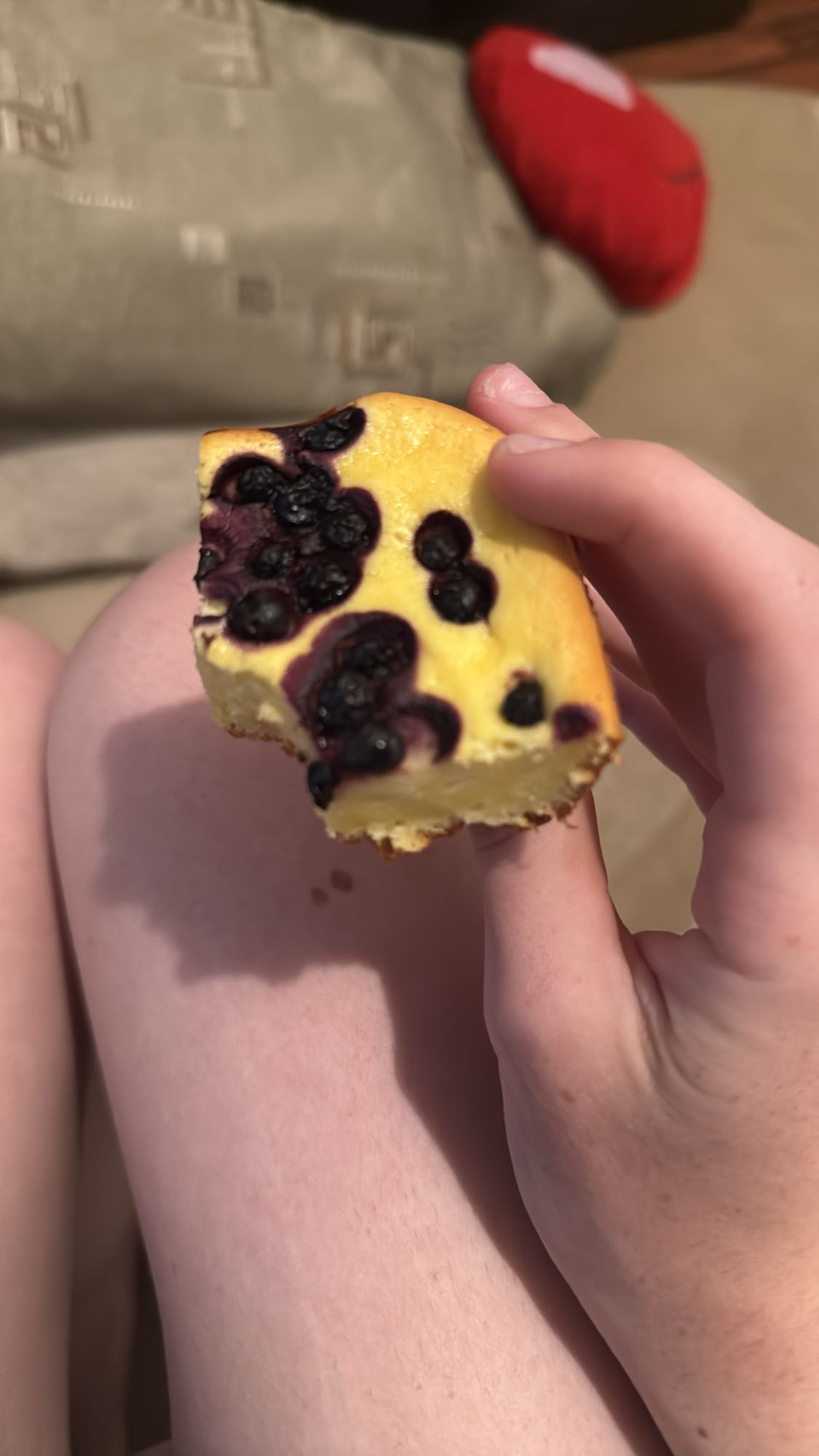 Prăjitură cu afine