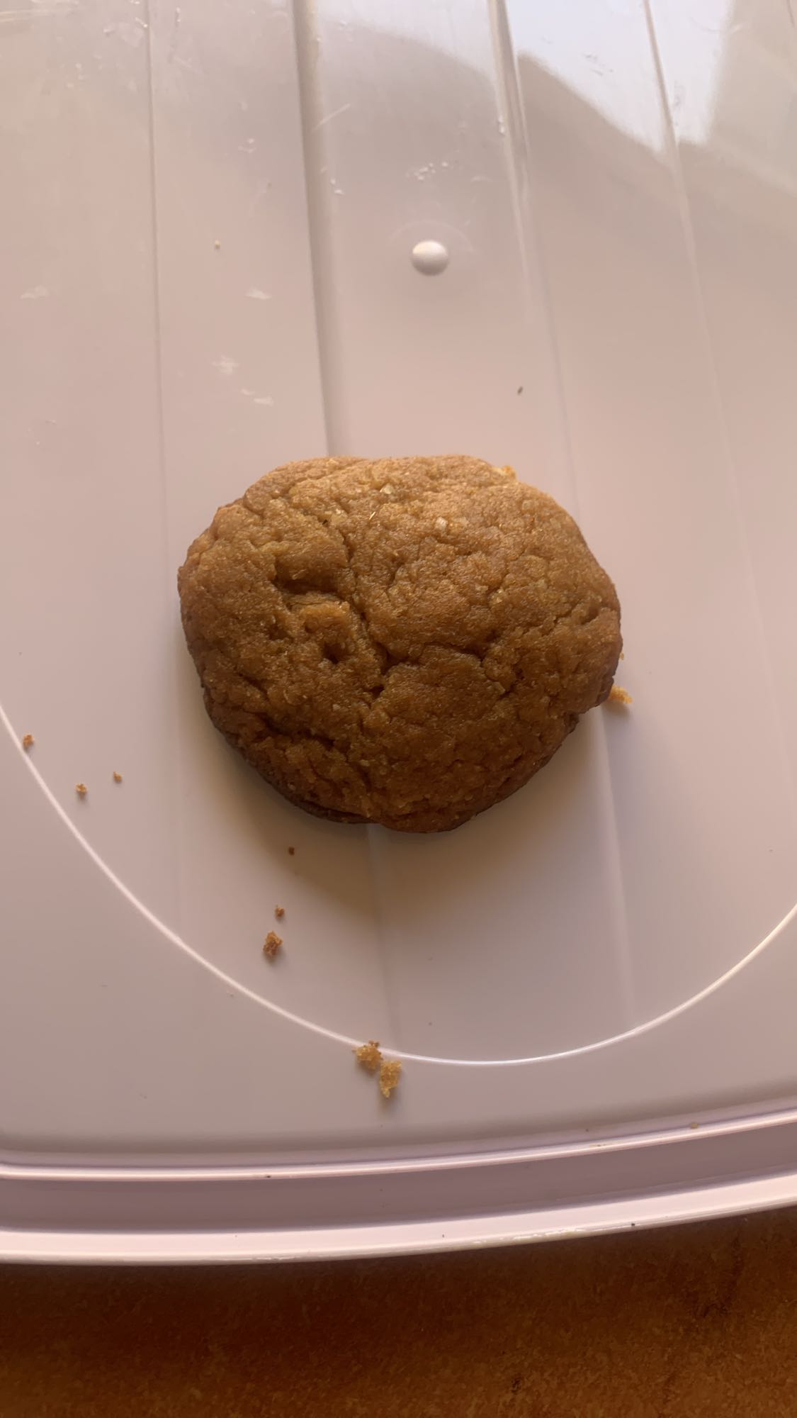 Peanut Butter Cookie