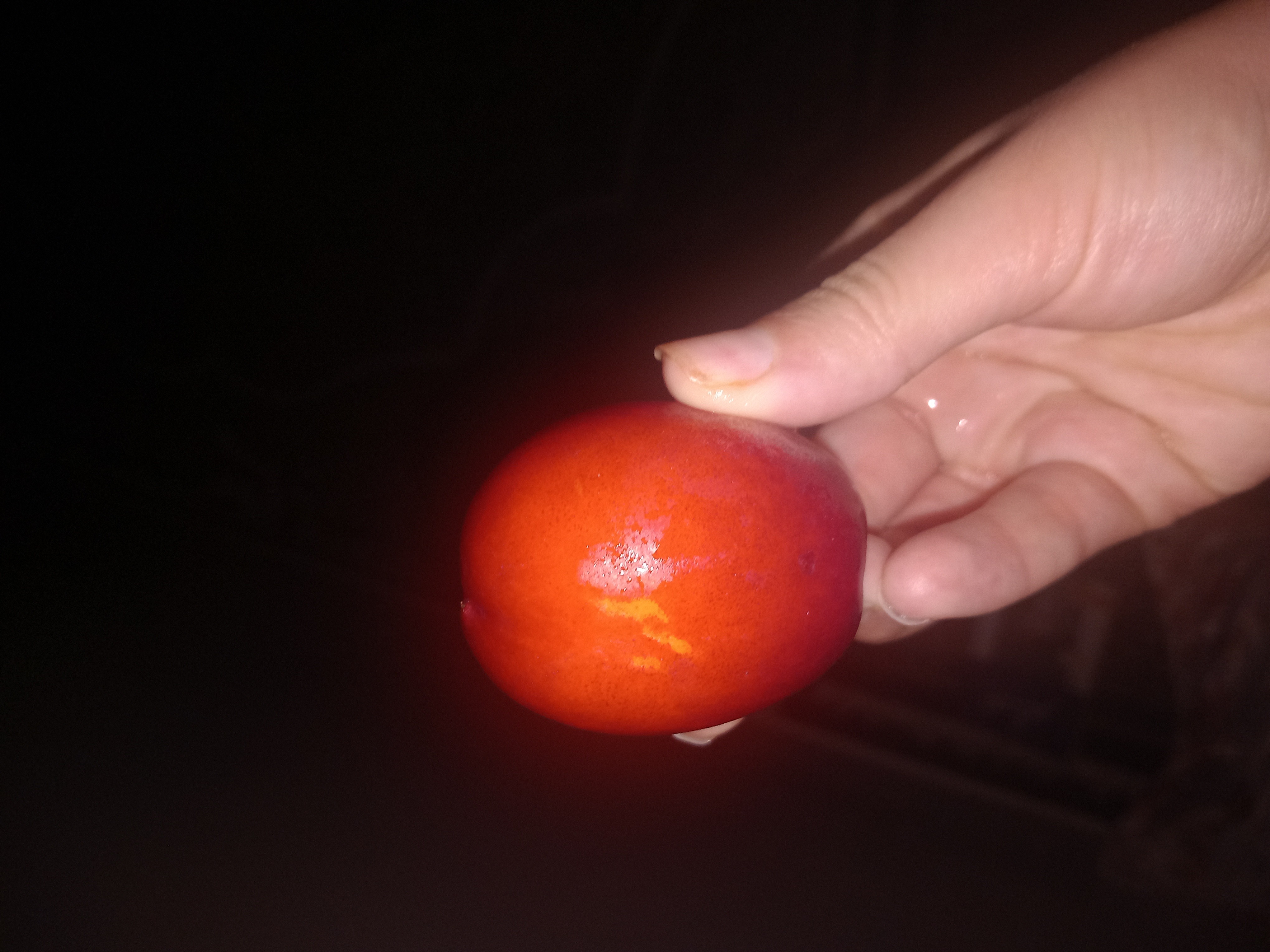 Fresh Nectarine