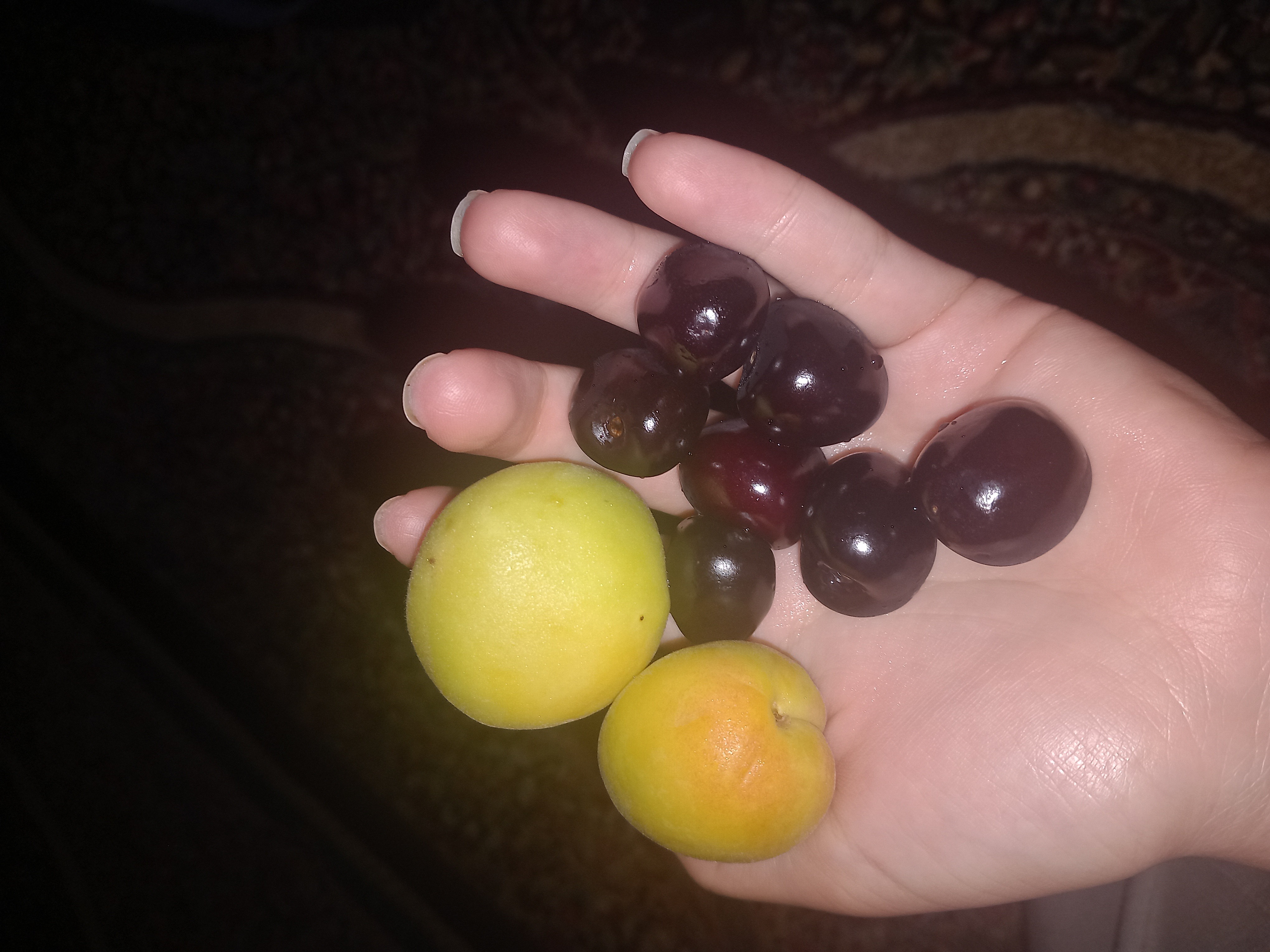 Plums and Cherries Snack