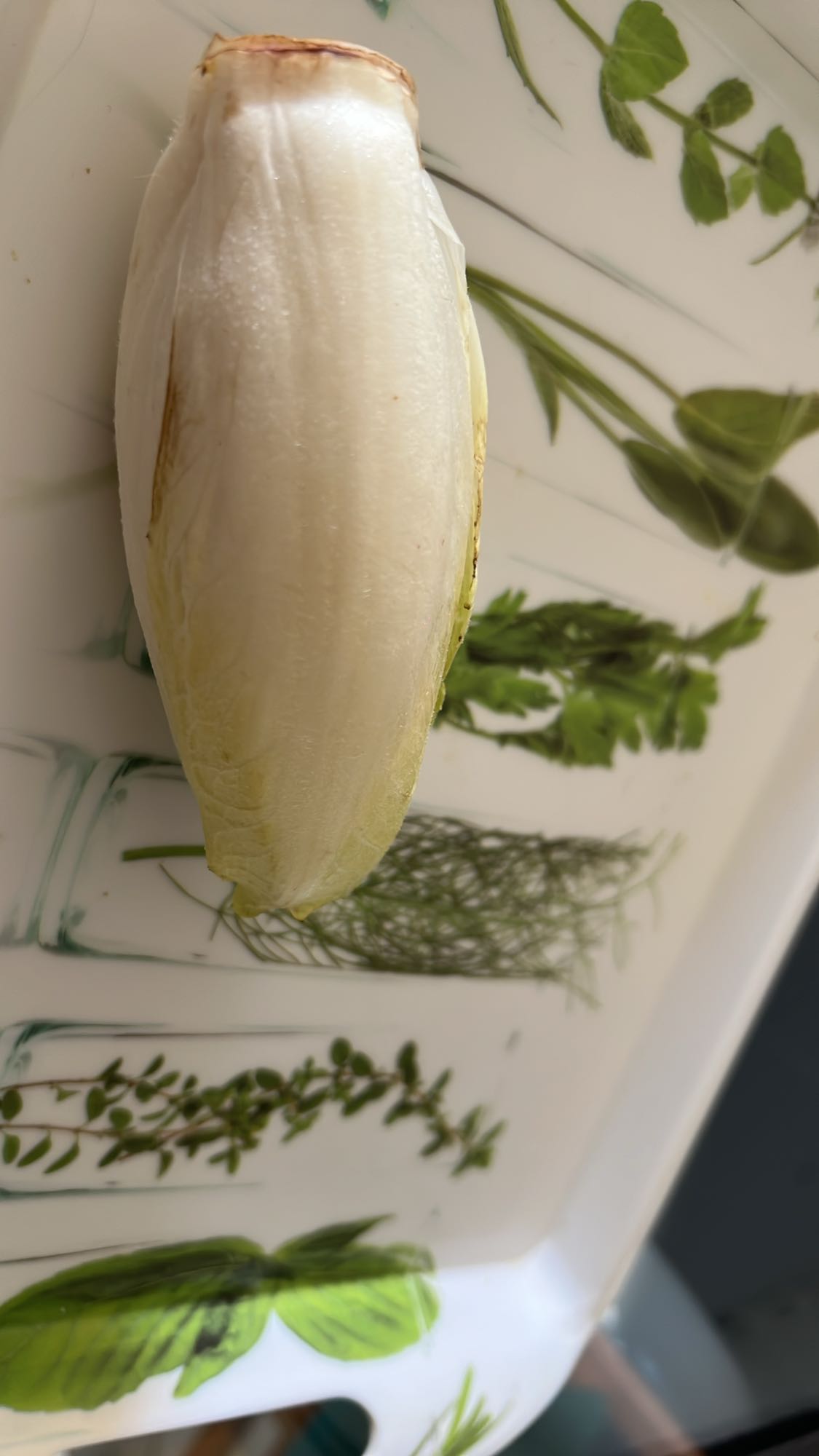 Endive fraîche