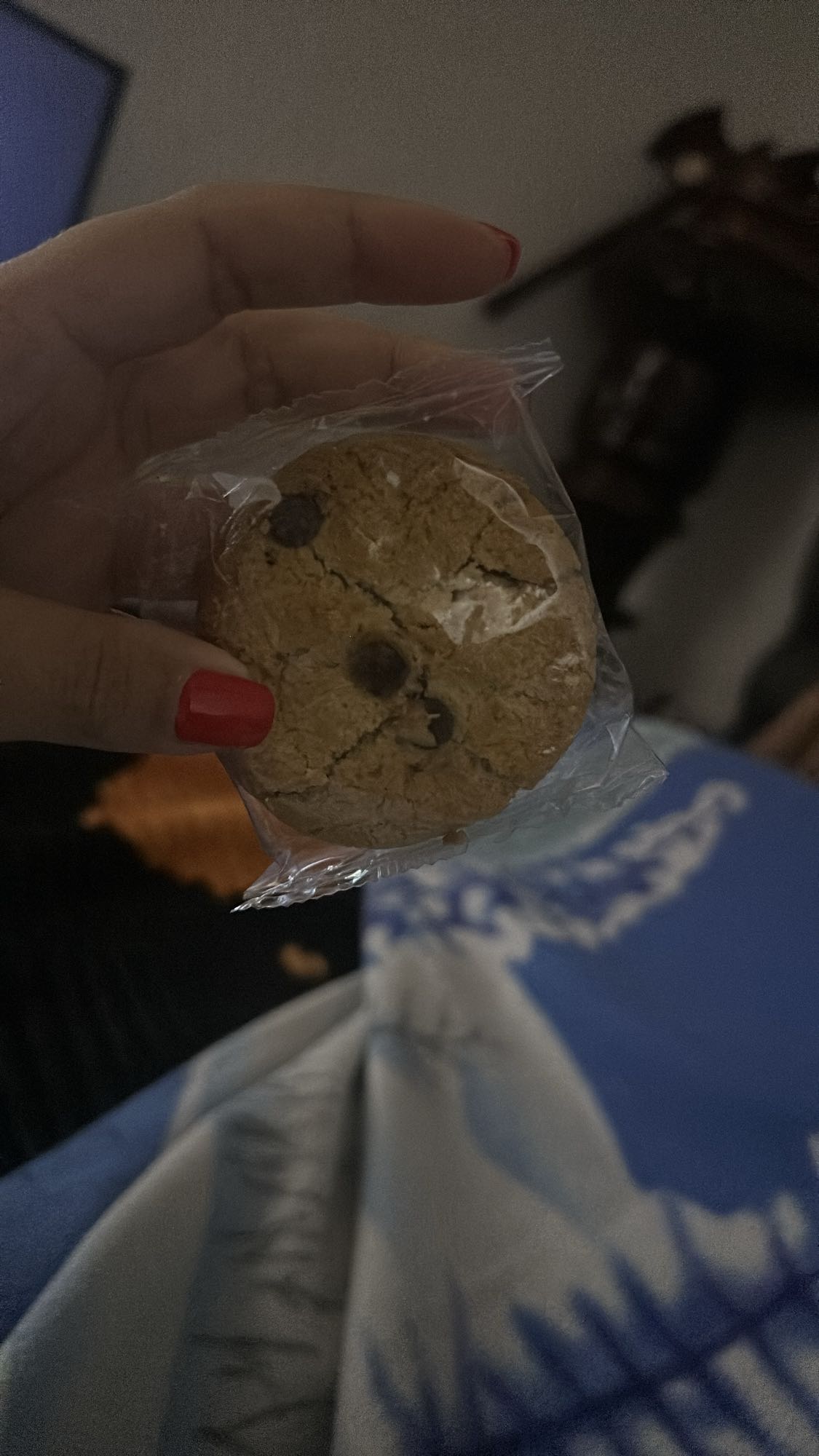 Galleta con chispas