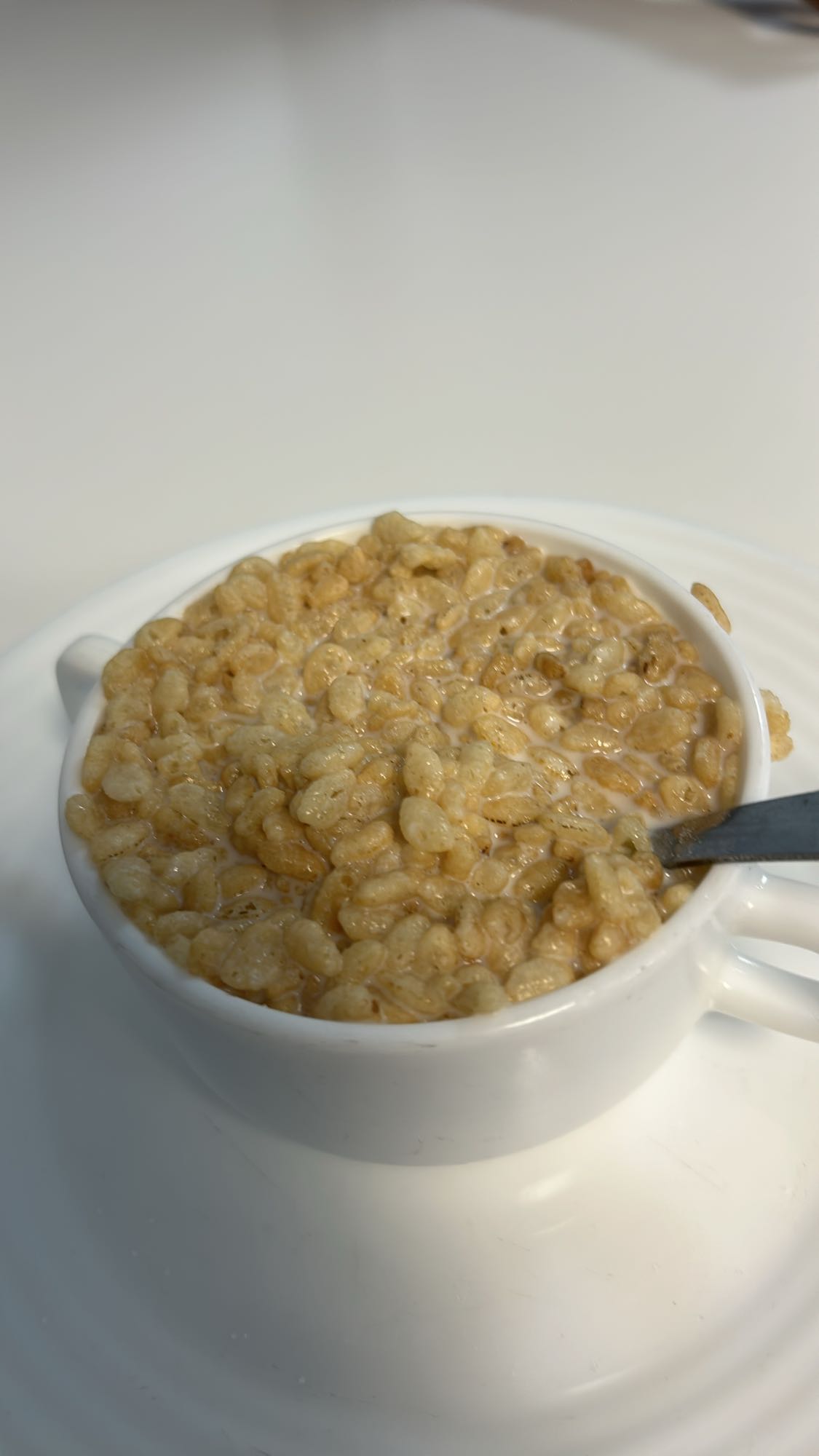 Rice cereal with milk