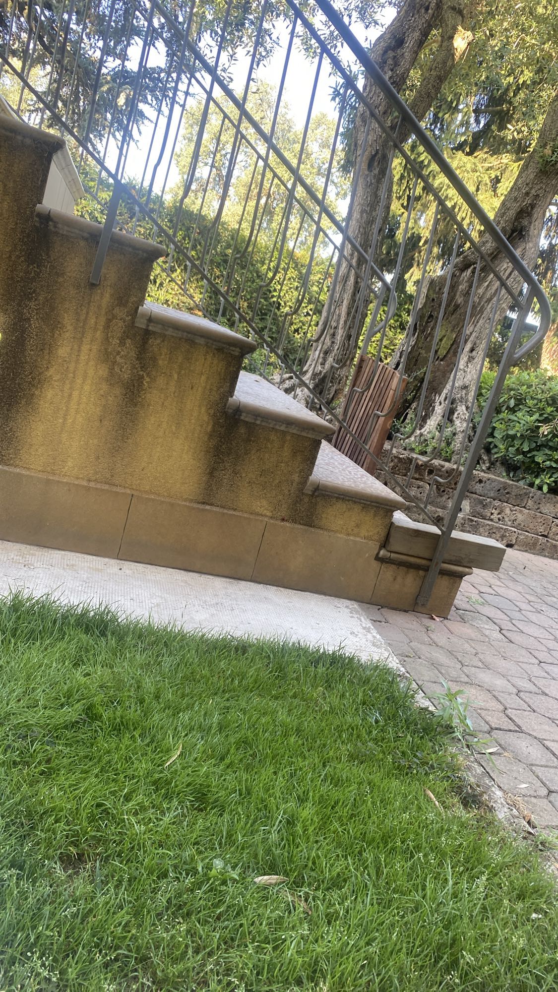 No food is visible in the image, so nutritional values are set to 0 as required.