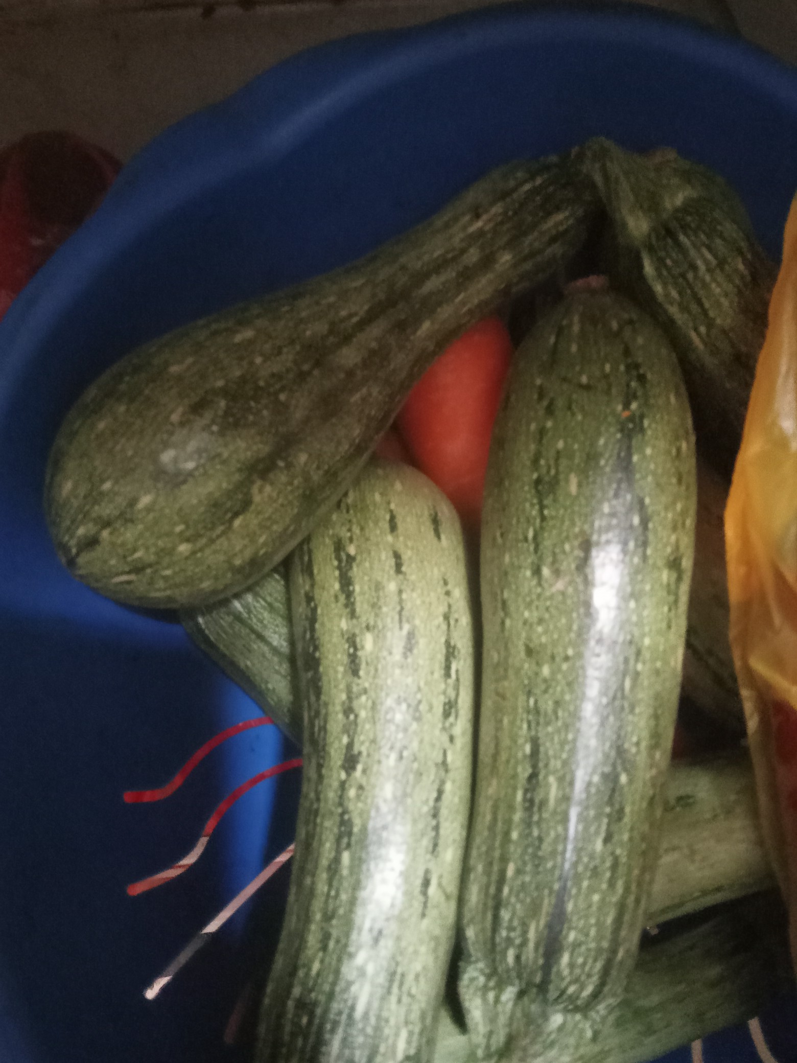 Courgettes et tomate