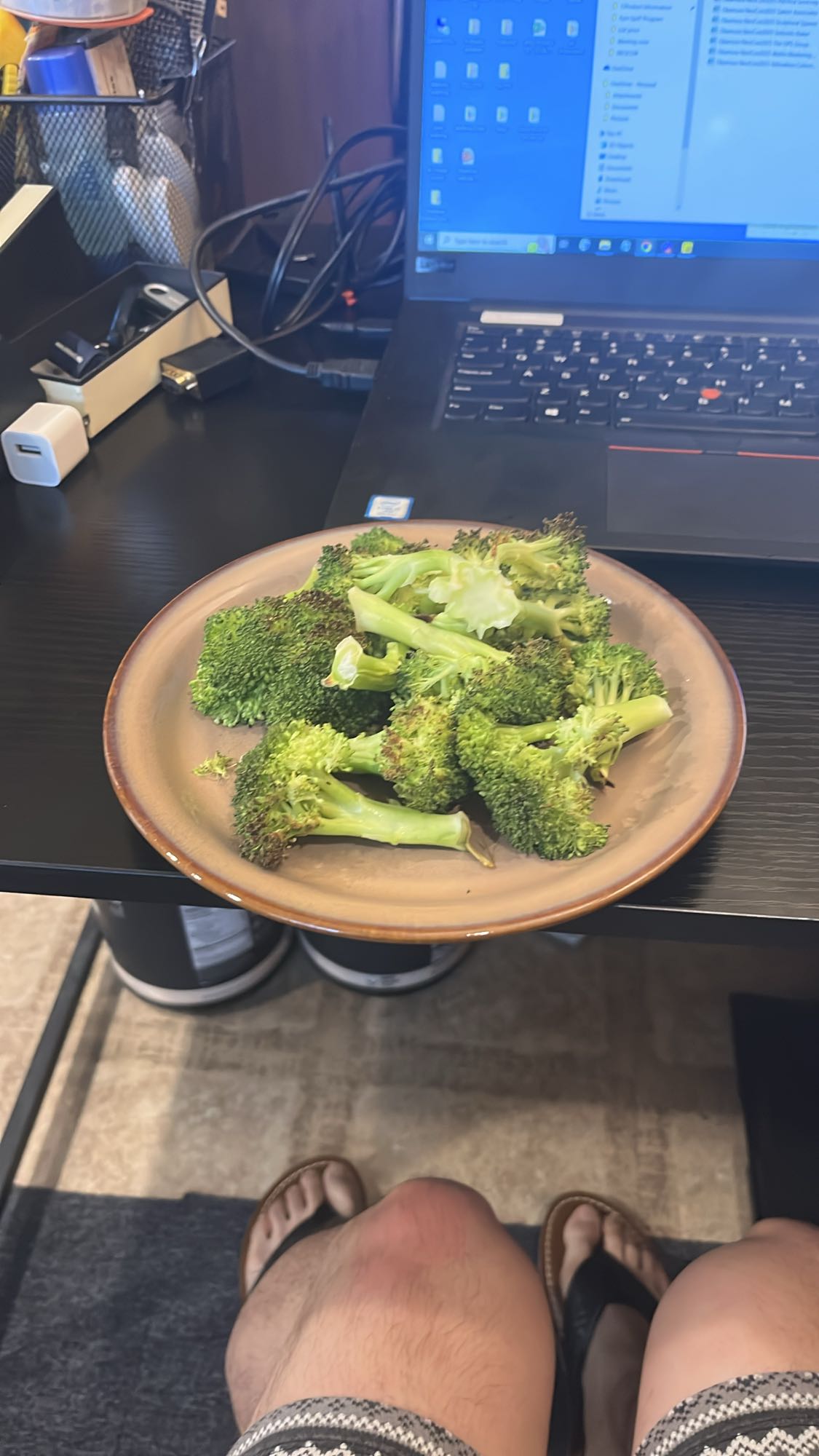 Steamed Broccoli Plate