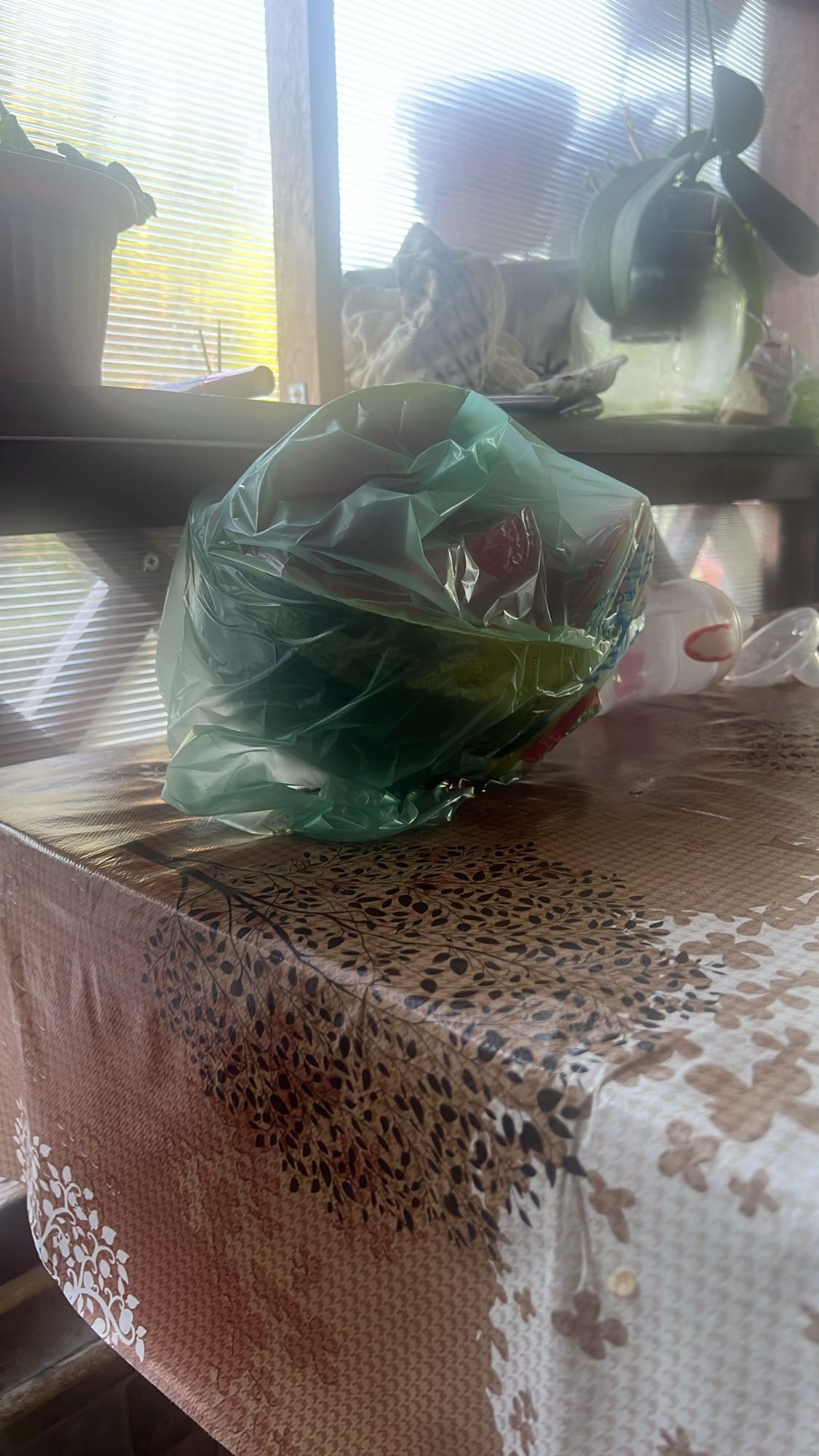 Salată verde în pungă