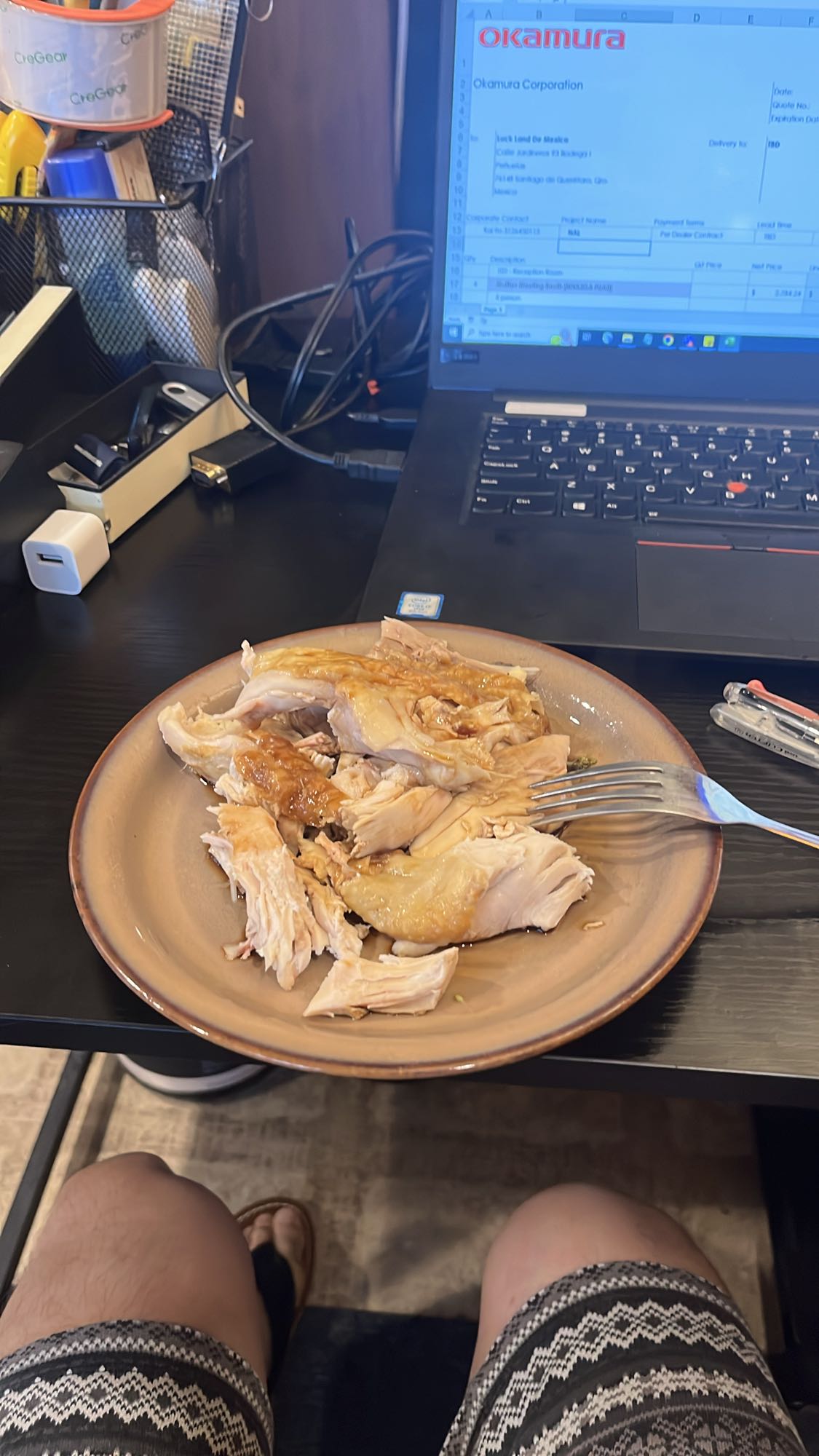 Shredded Chicken Plate