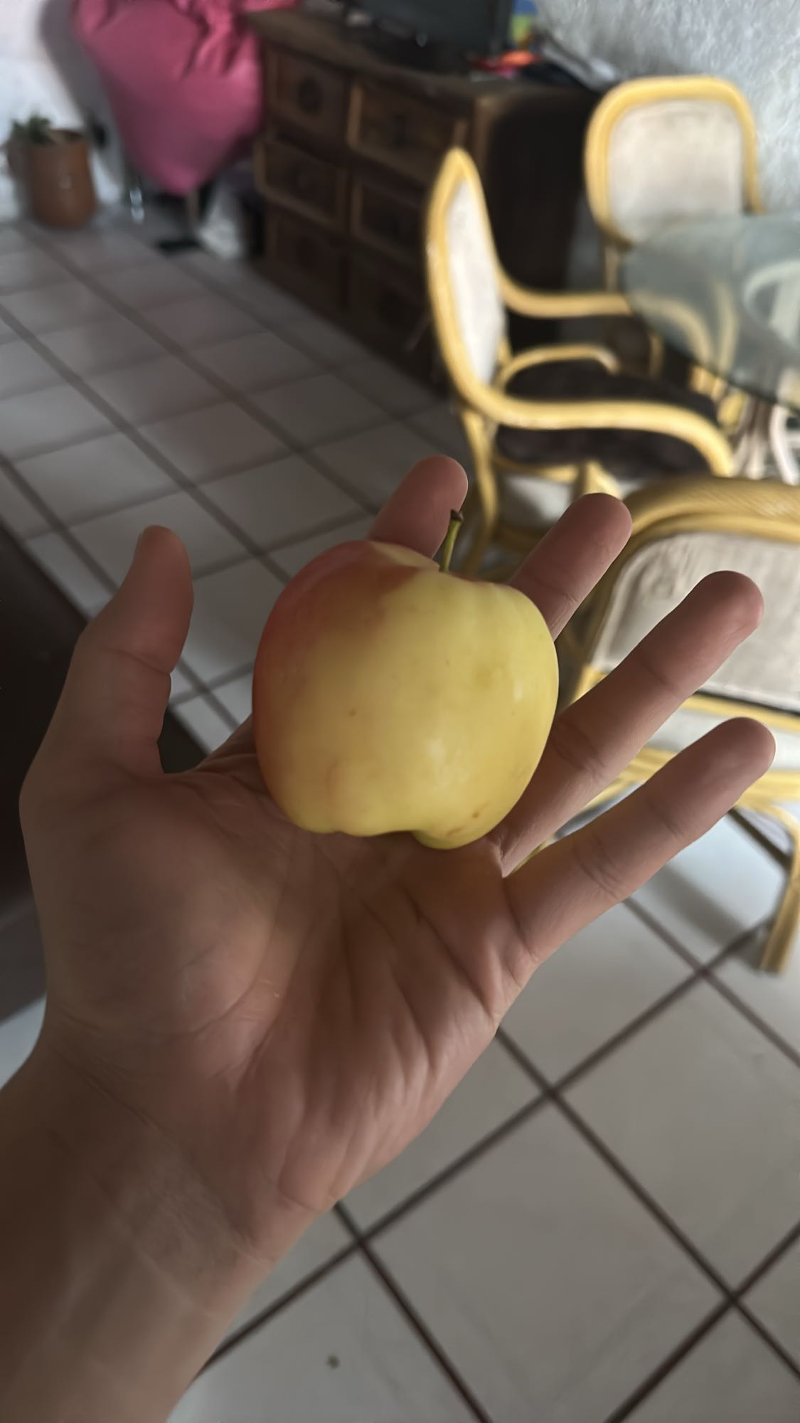 Manzana pequeña