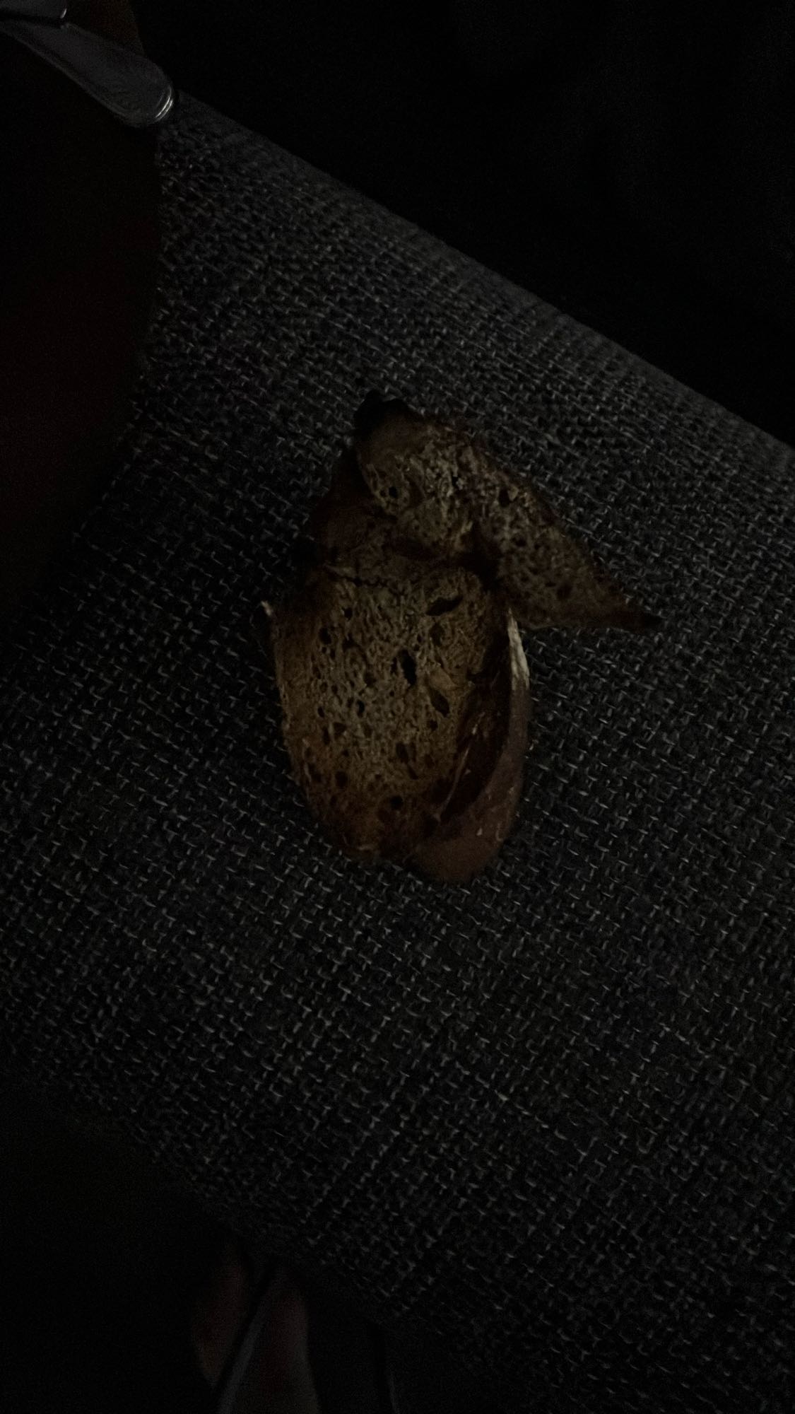 Tranche de pain complet