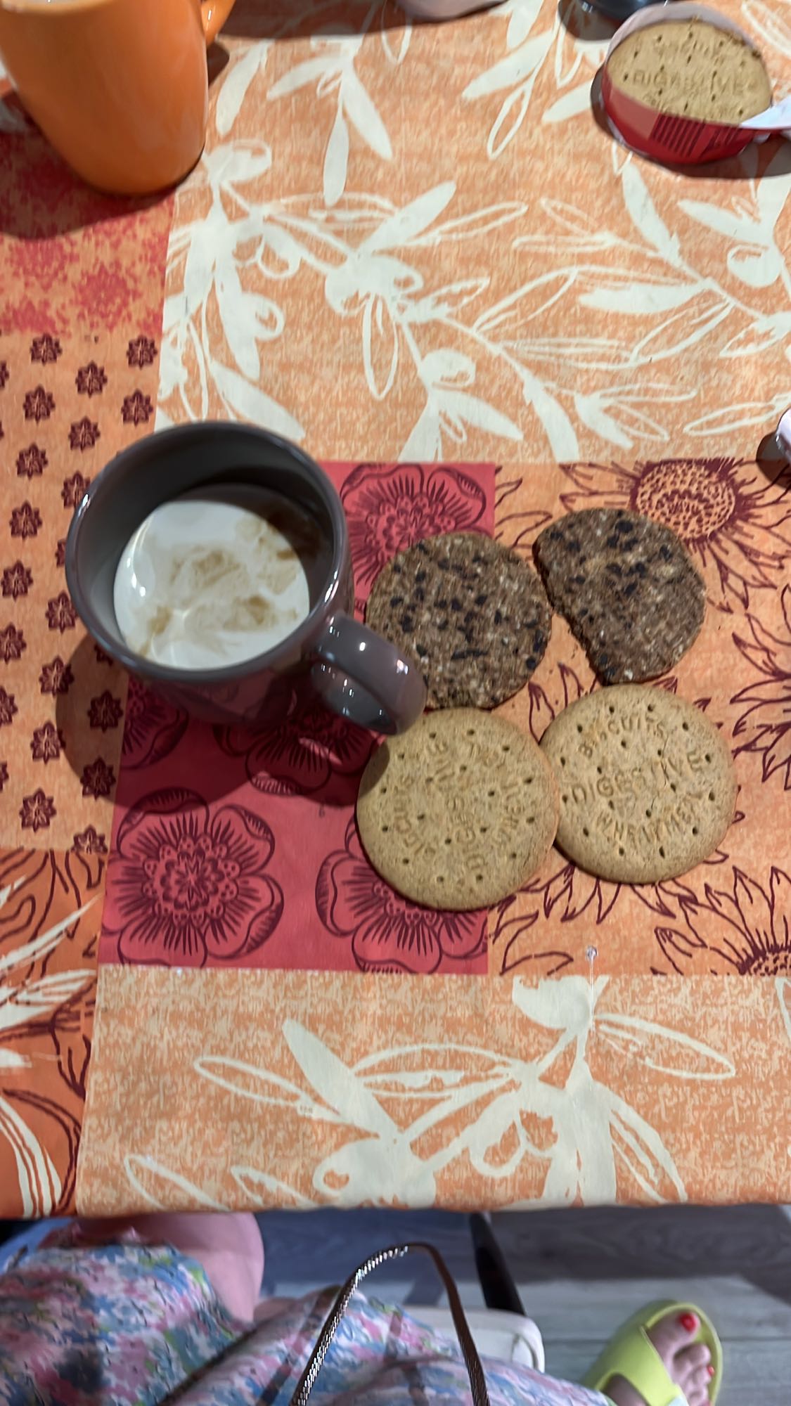 Biscuit ve Sütlü Kahve