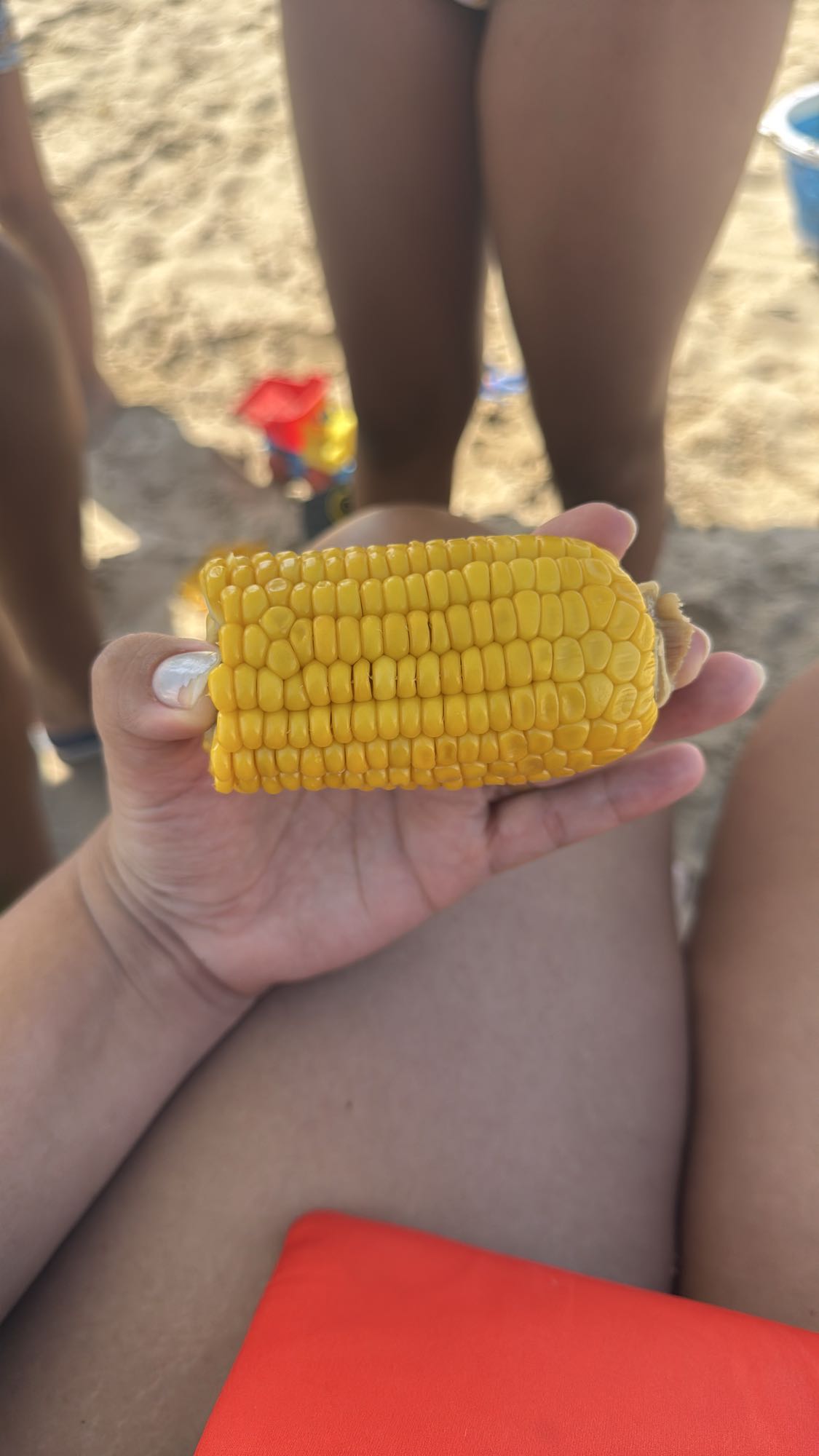 mazorca de maíz