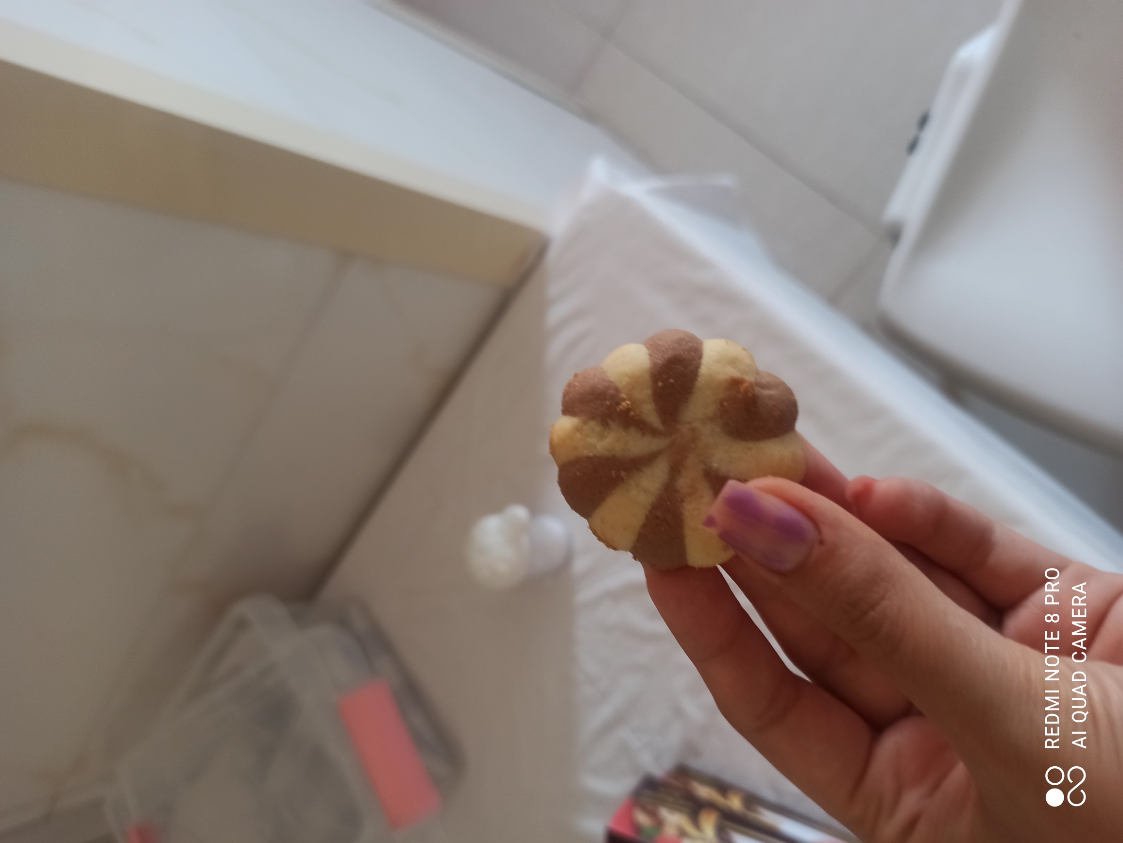 Butter Chocolate Cookie