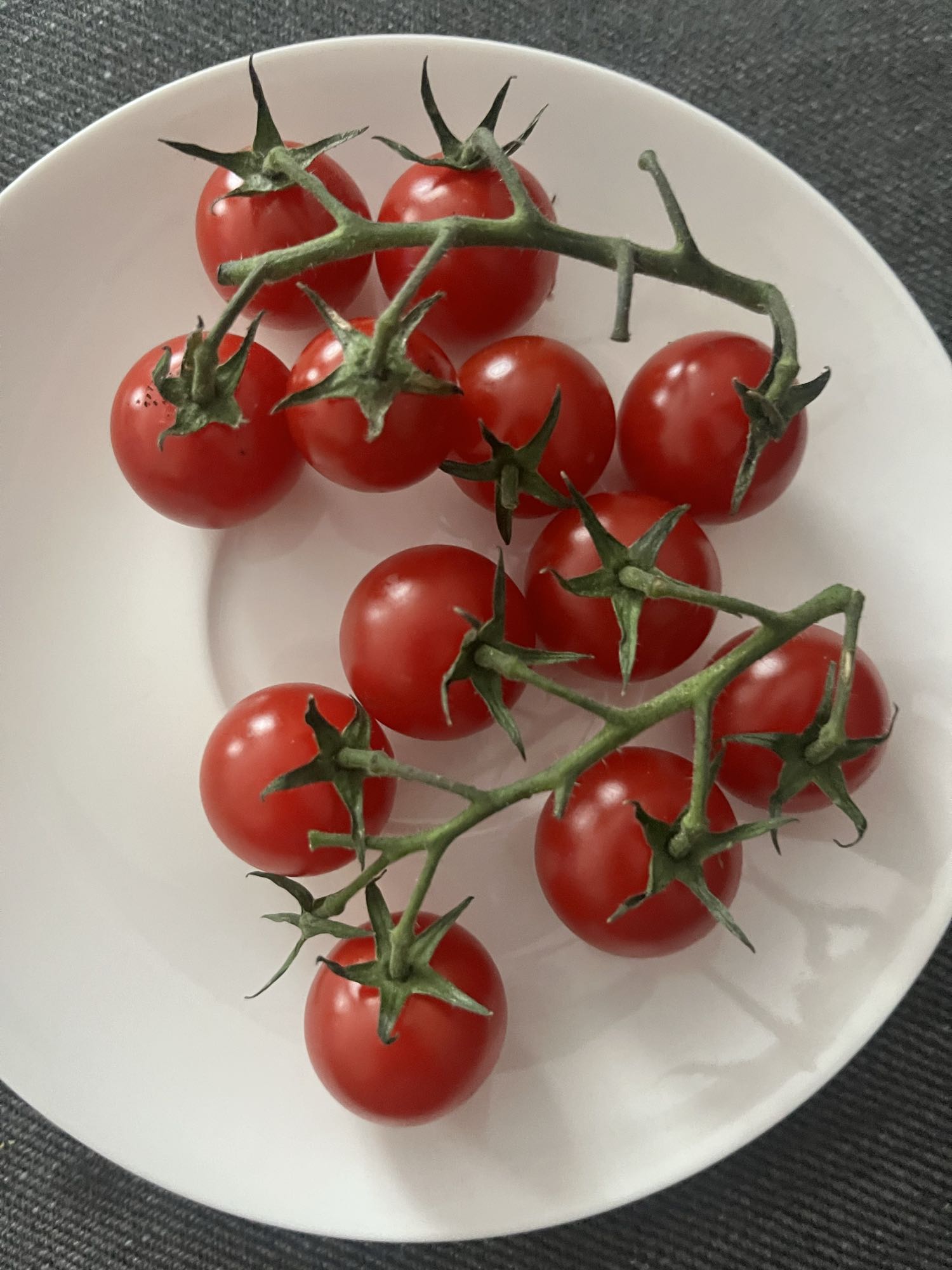 Pomidory koktajlowe na talerzu