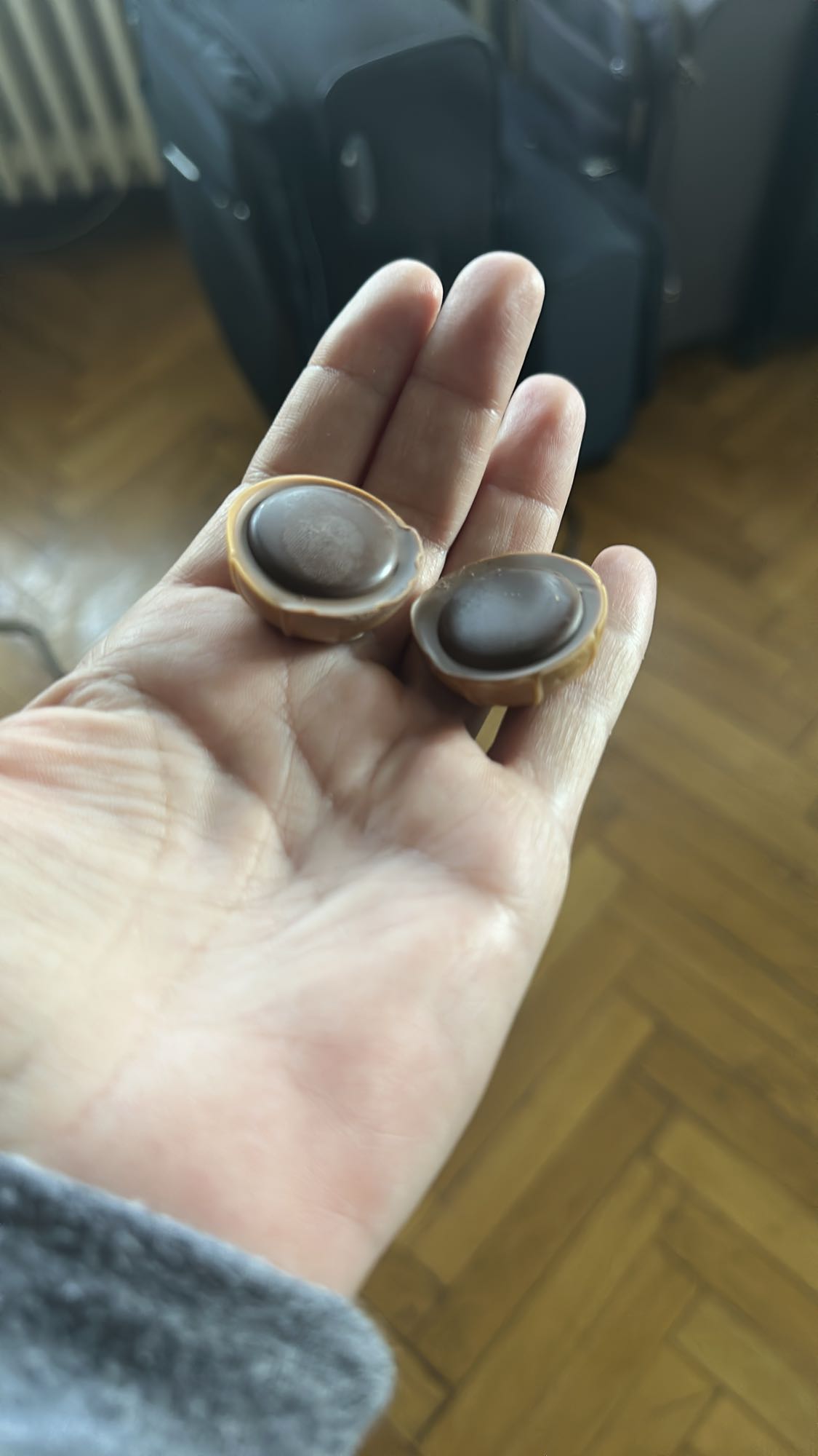 Chocolate candy bites