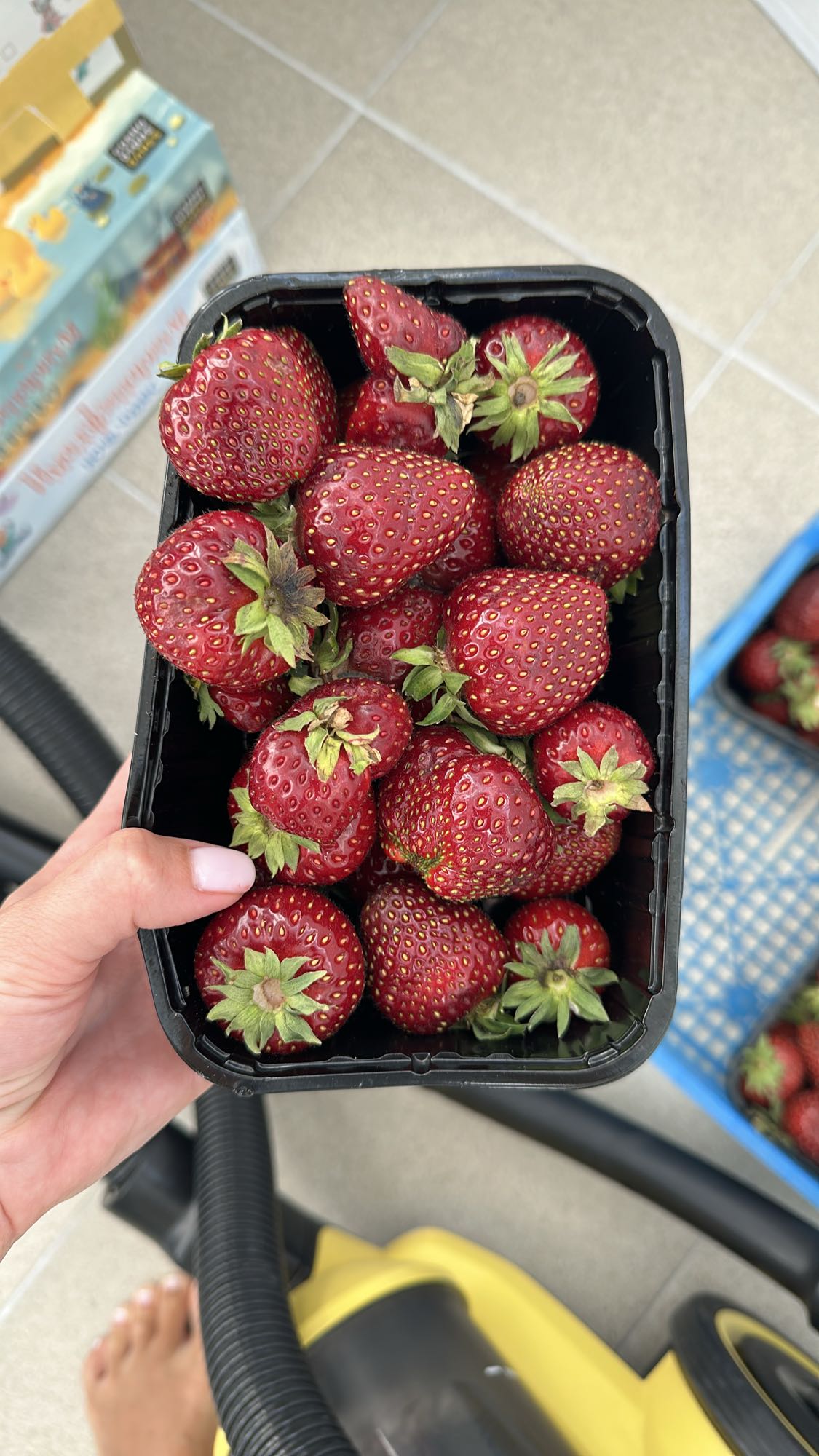 Свежая клубника