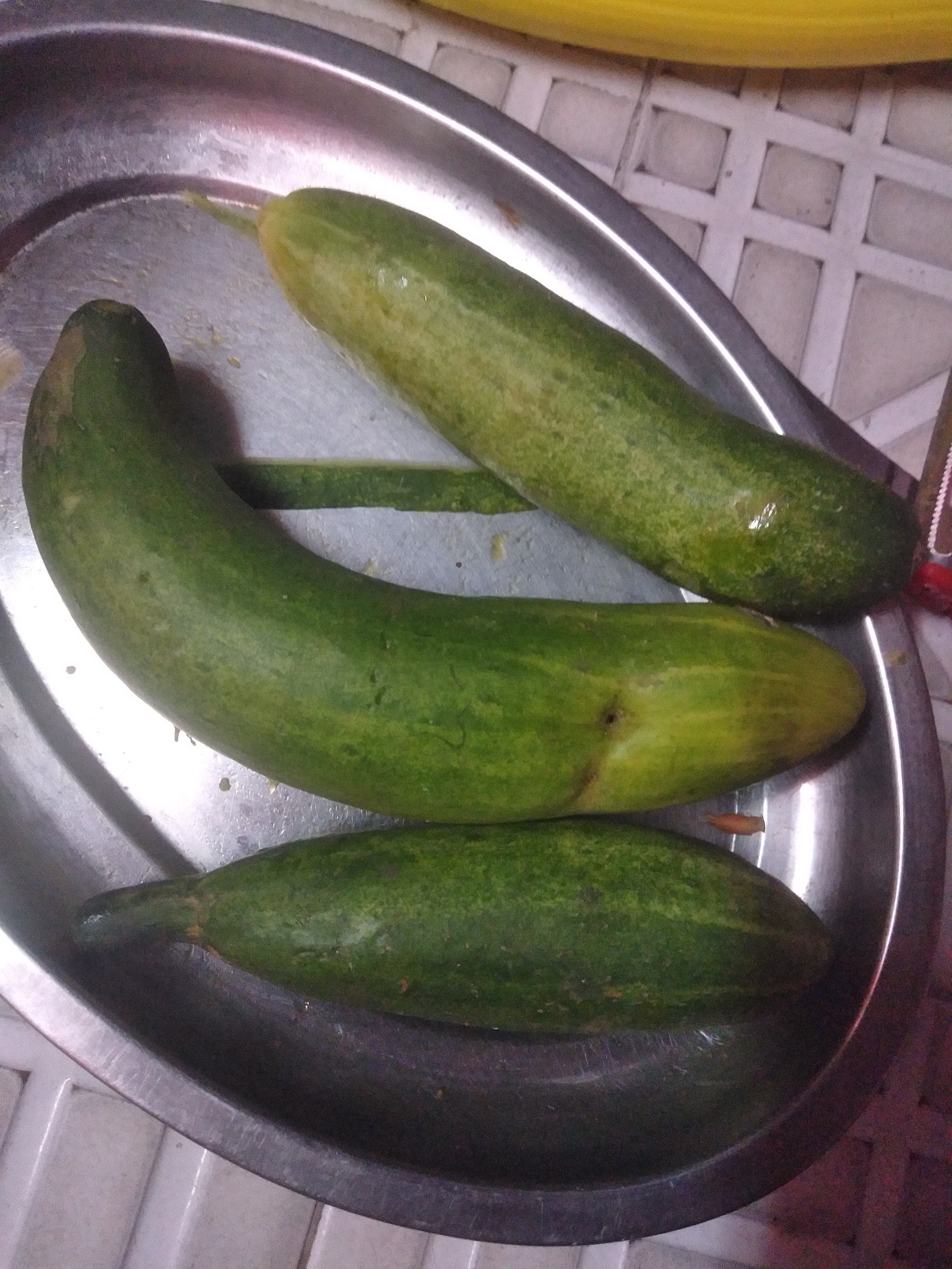 Fresh Cucumbers Plate