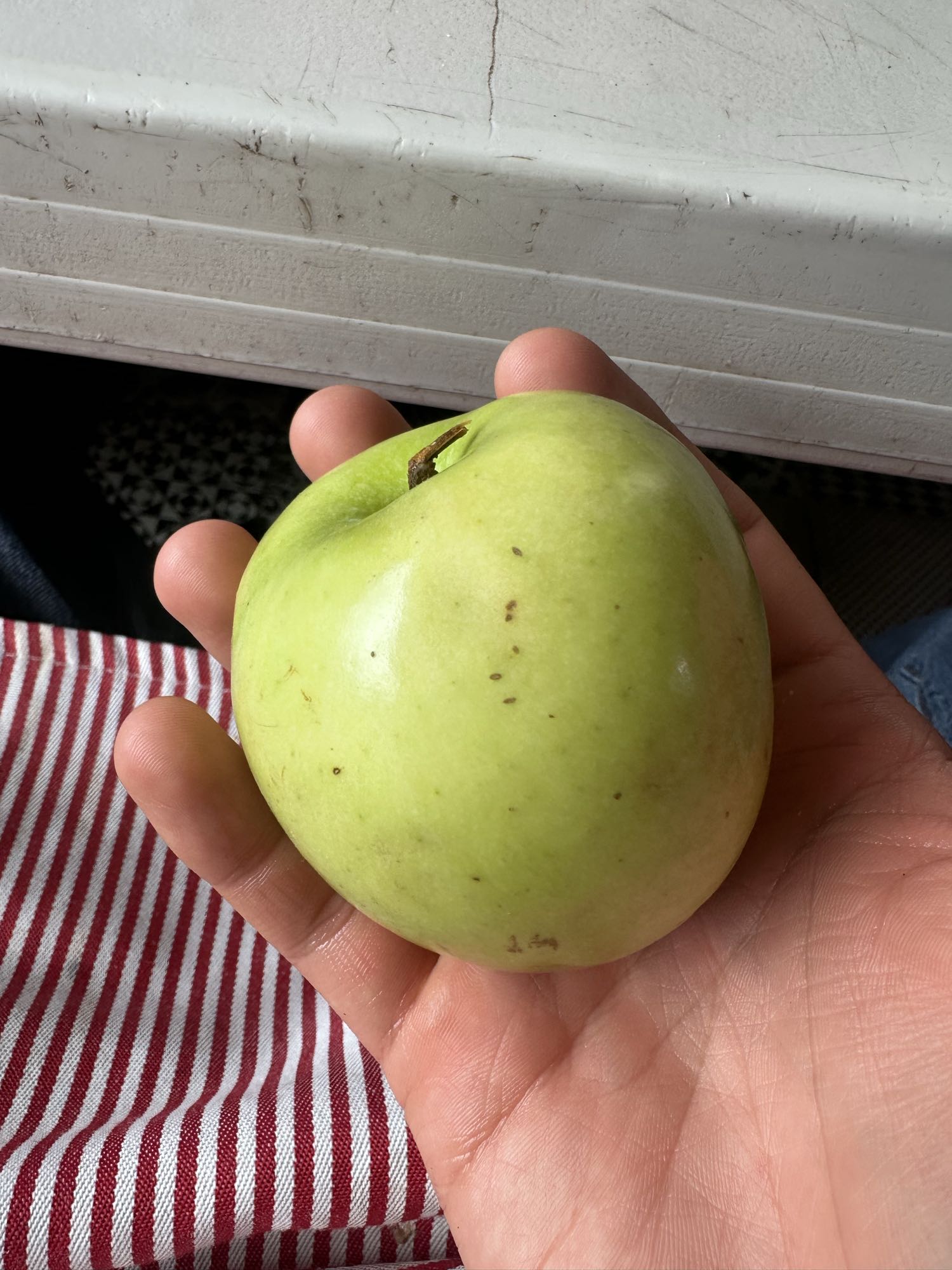 Manzana verde