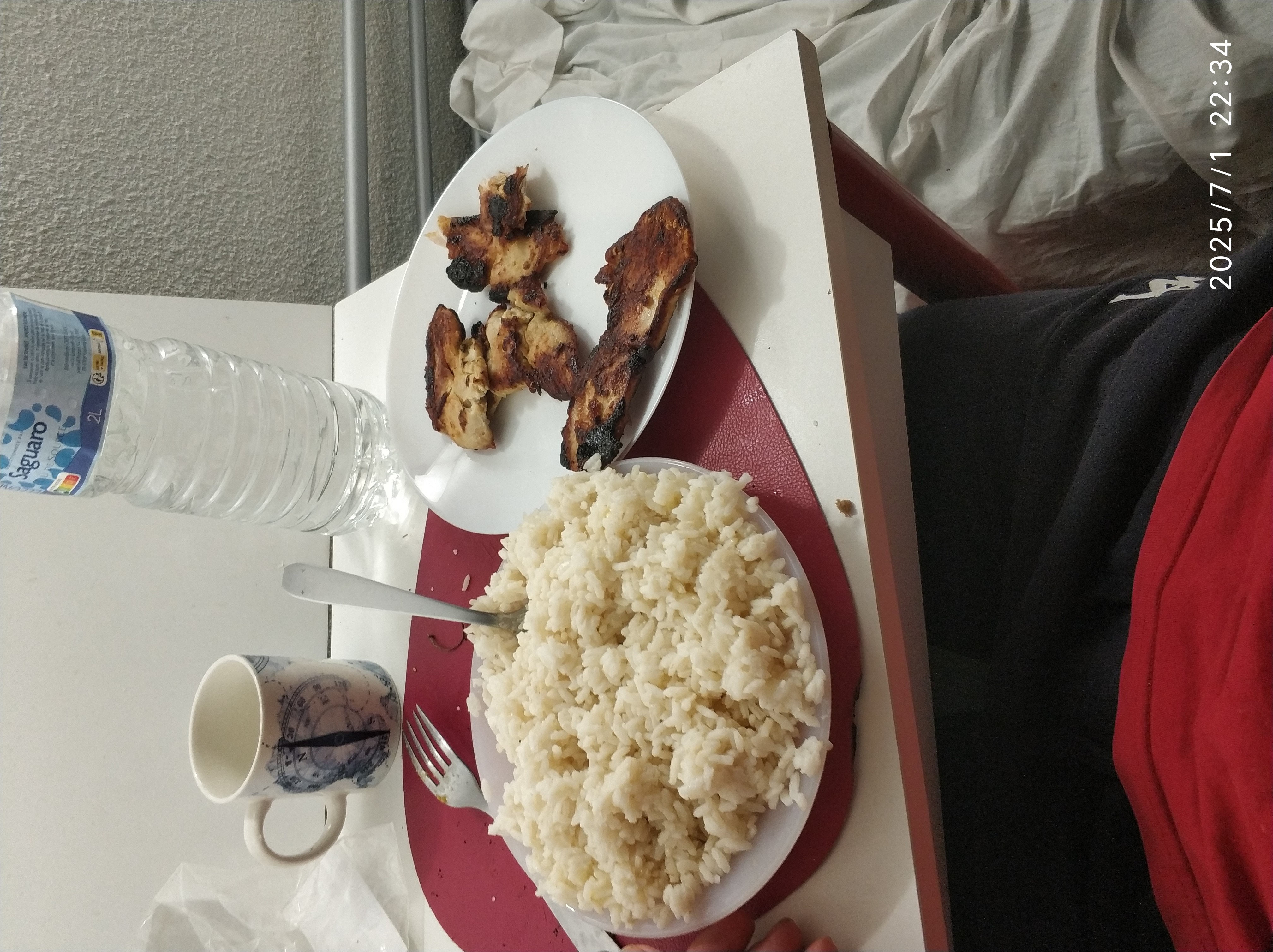 Grilled Chicken with Rice