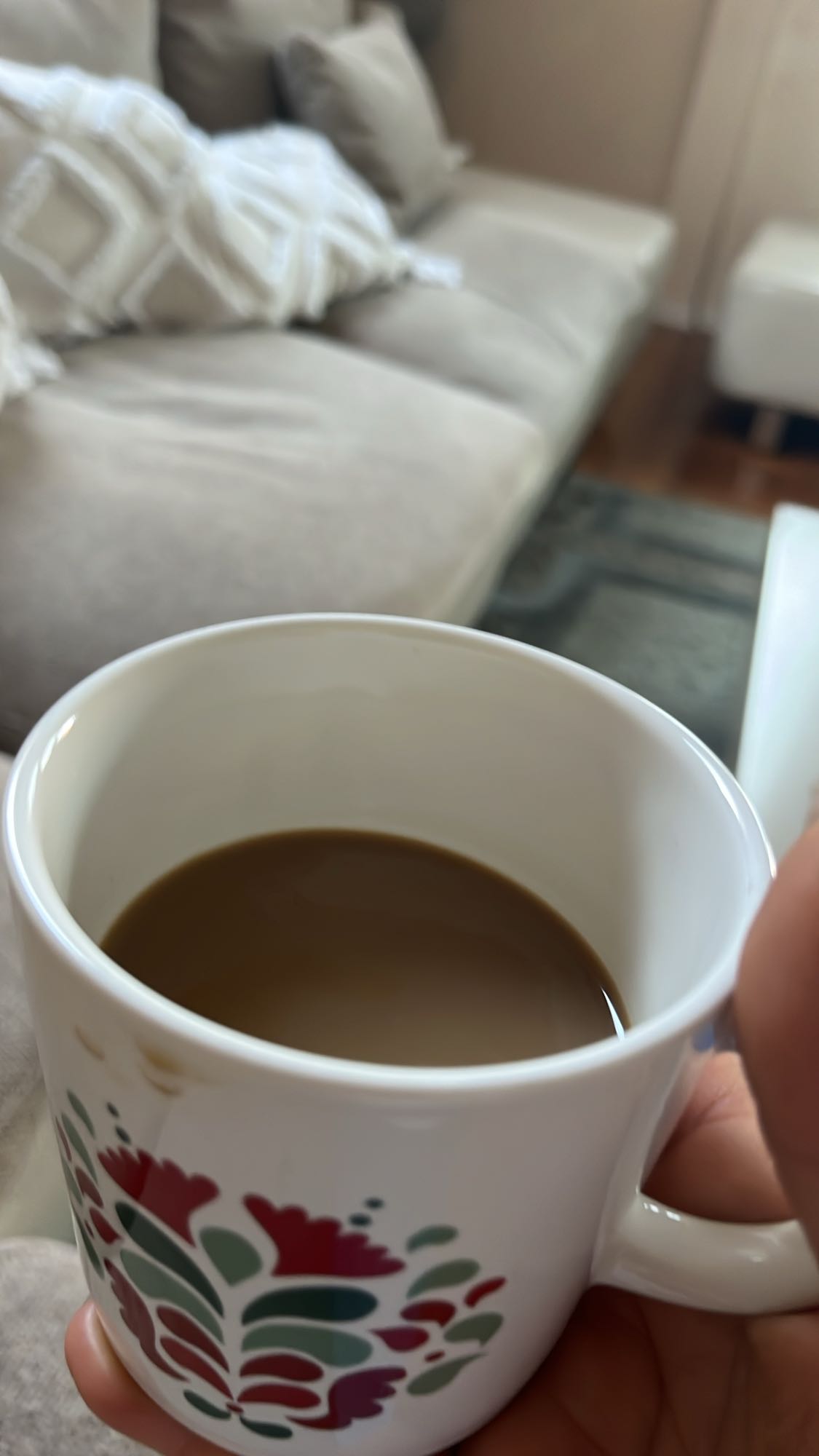 Kahveli Sütlü İçecek