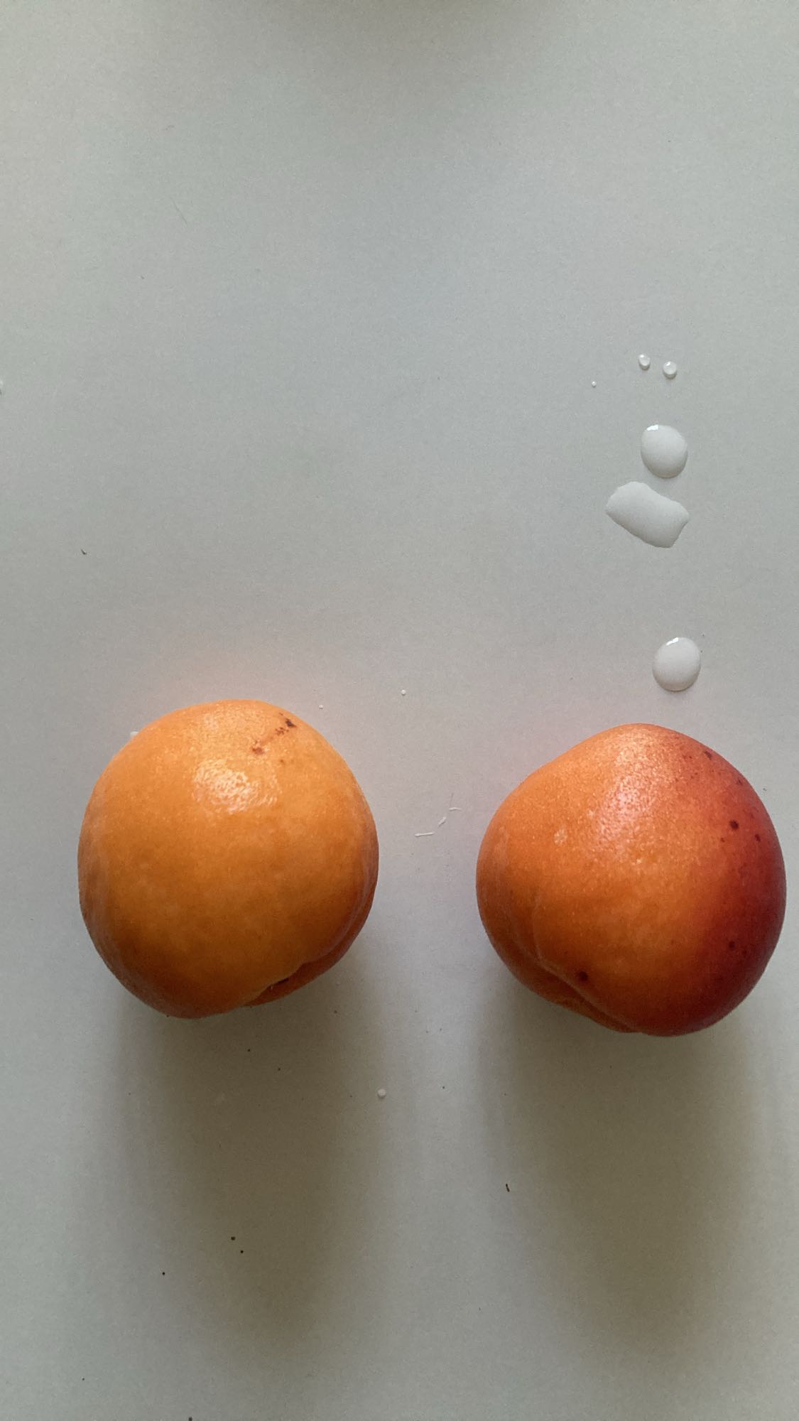 Two Apricots