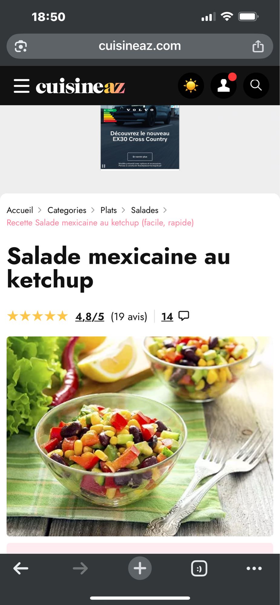 Salade mexicaine ketchup
