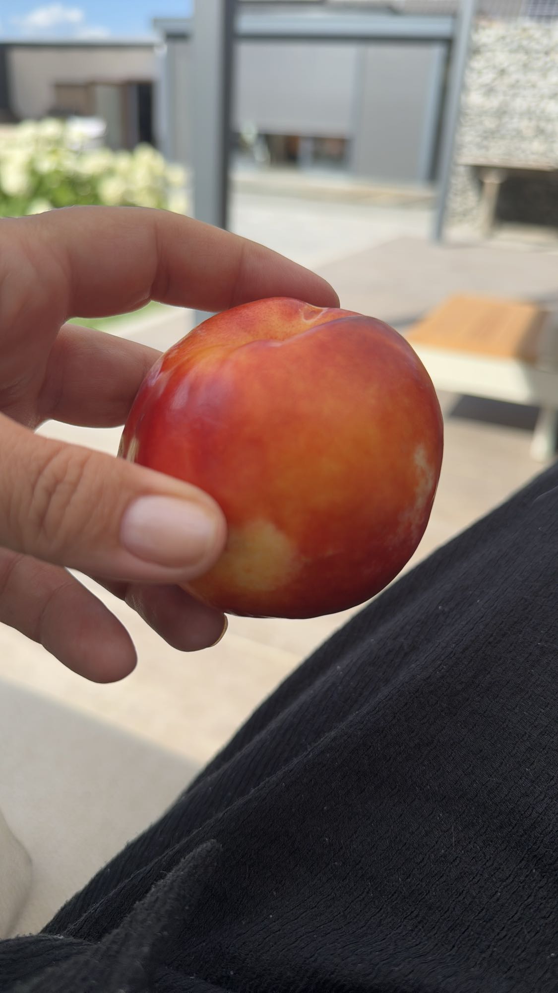 Nectarine