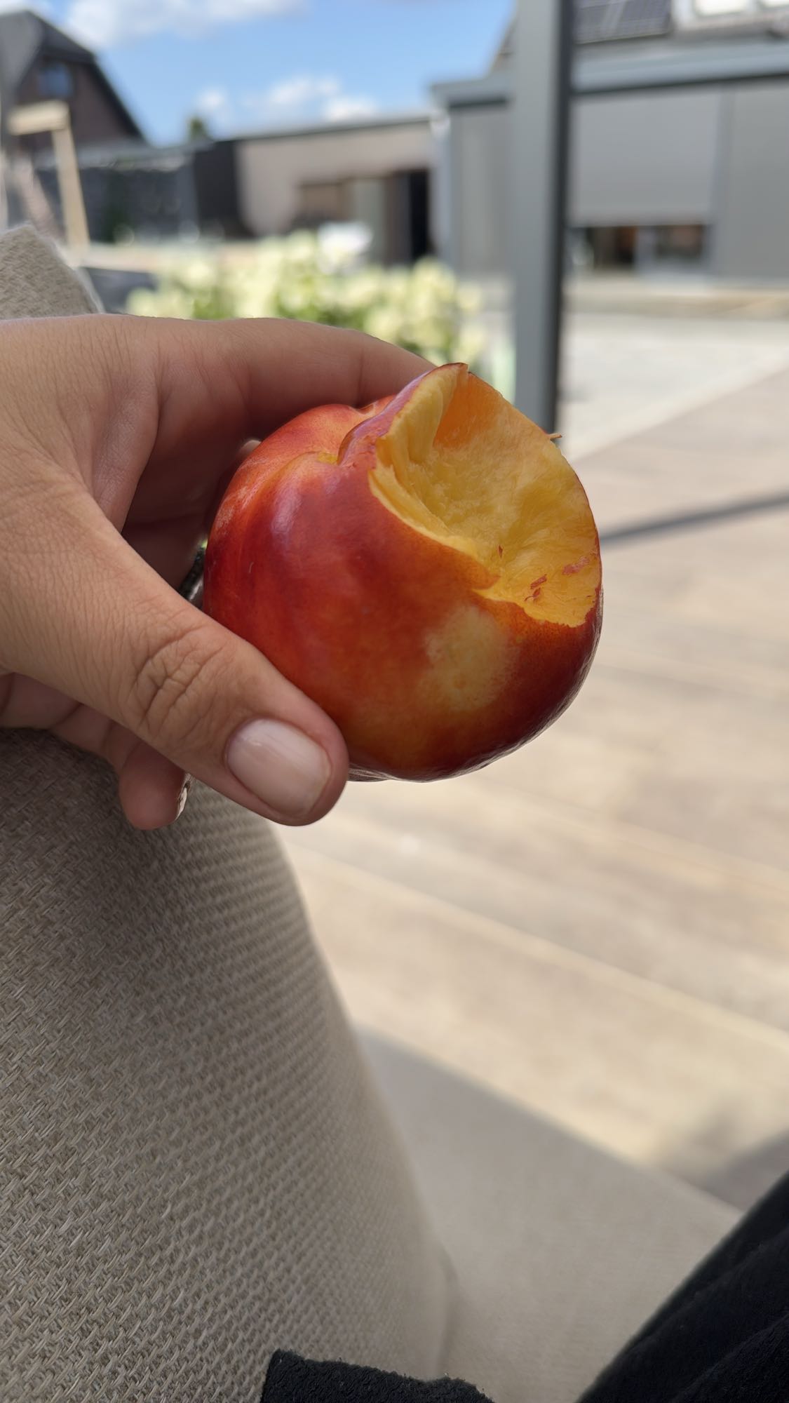 Nectarine snack