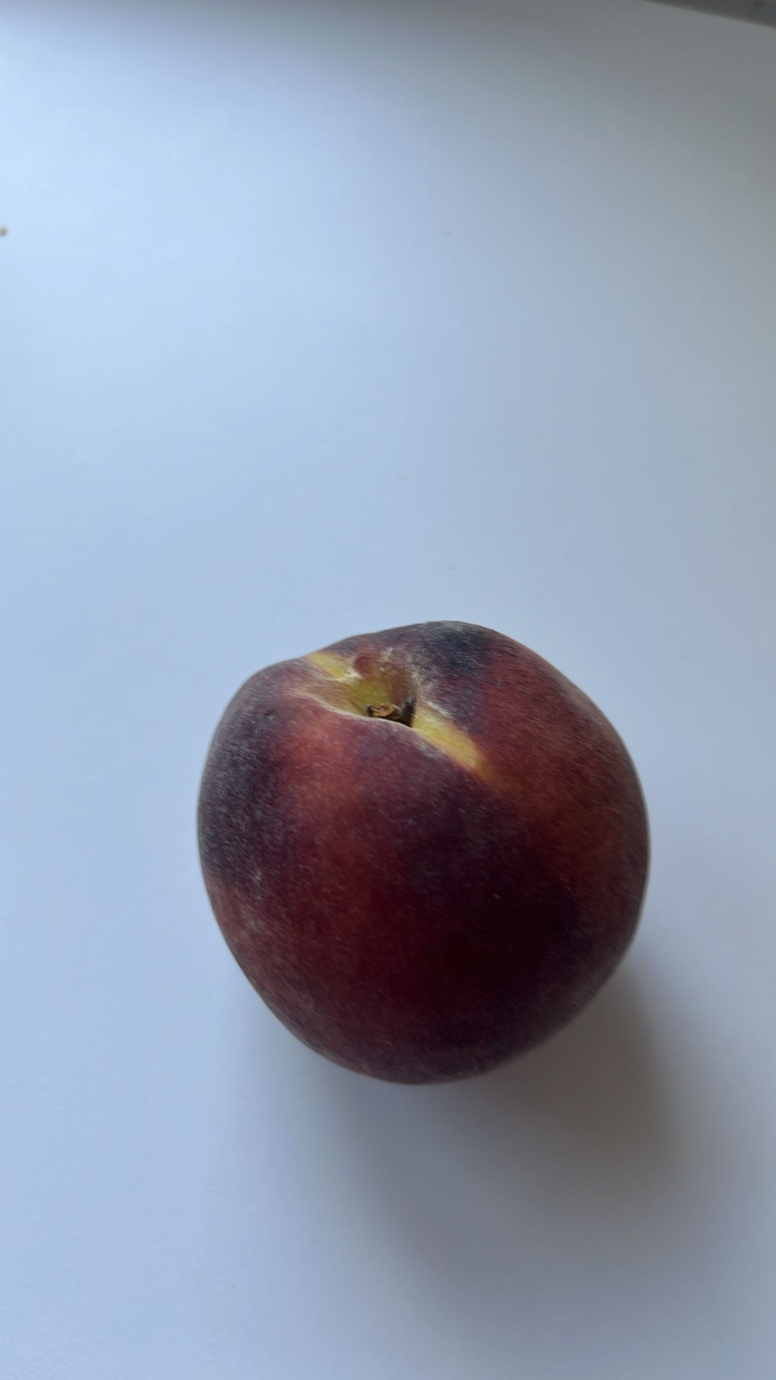 Piersică proaspătă