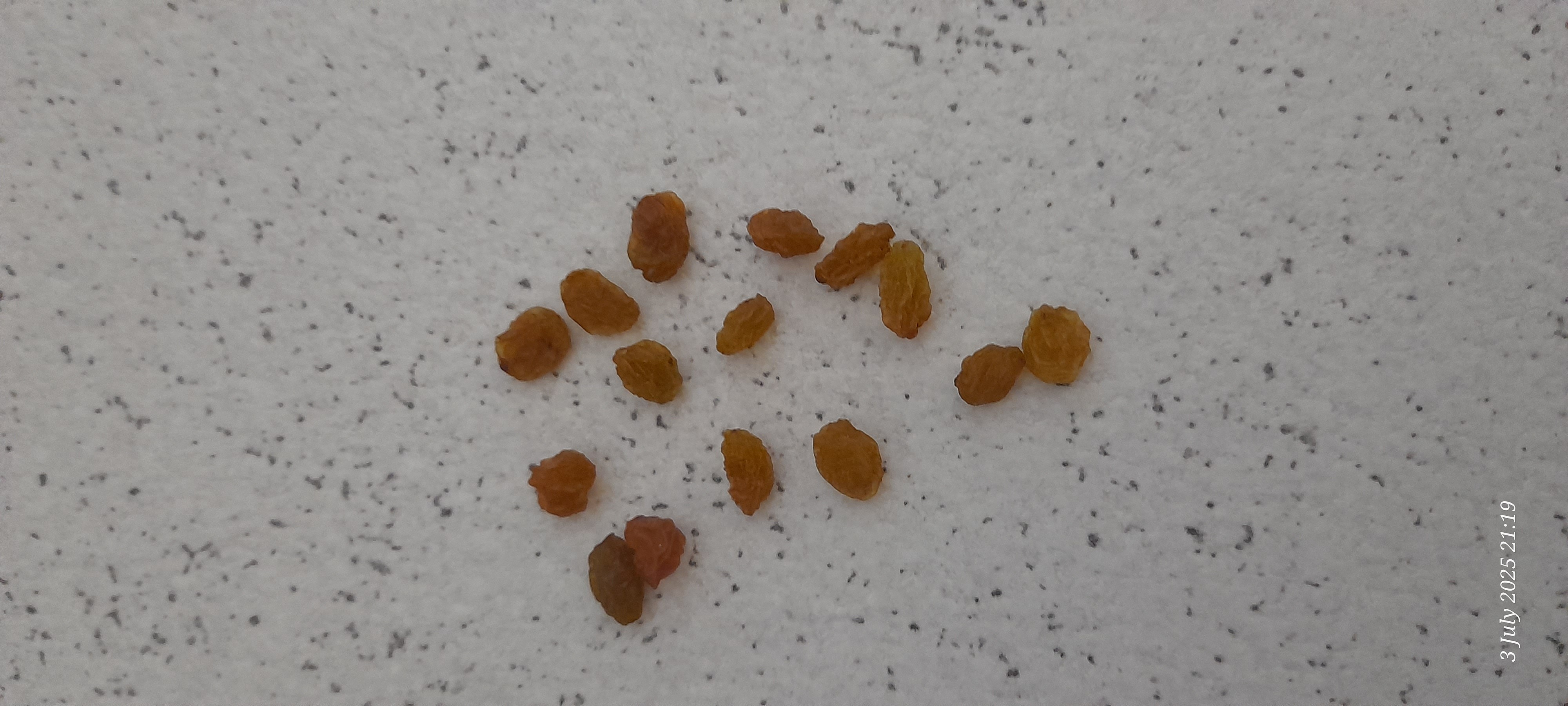 Small portion of raisins