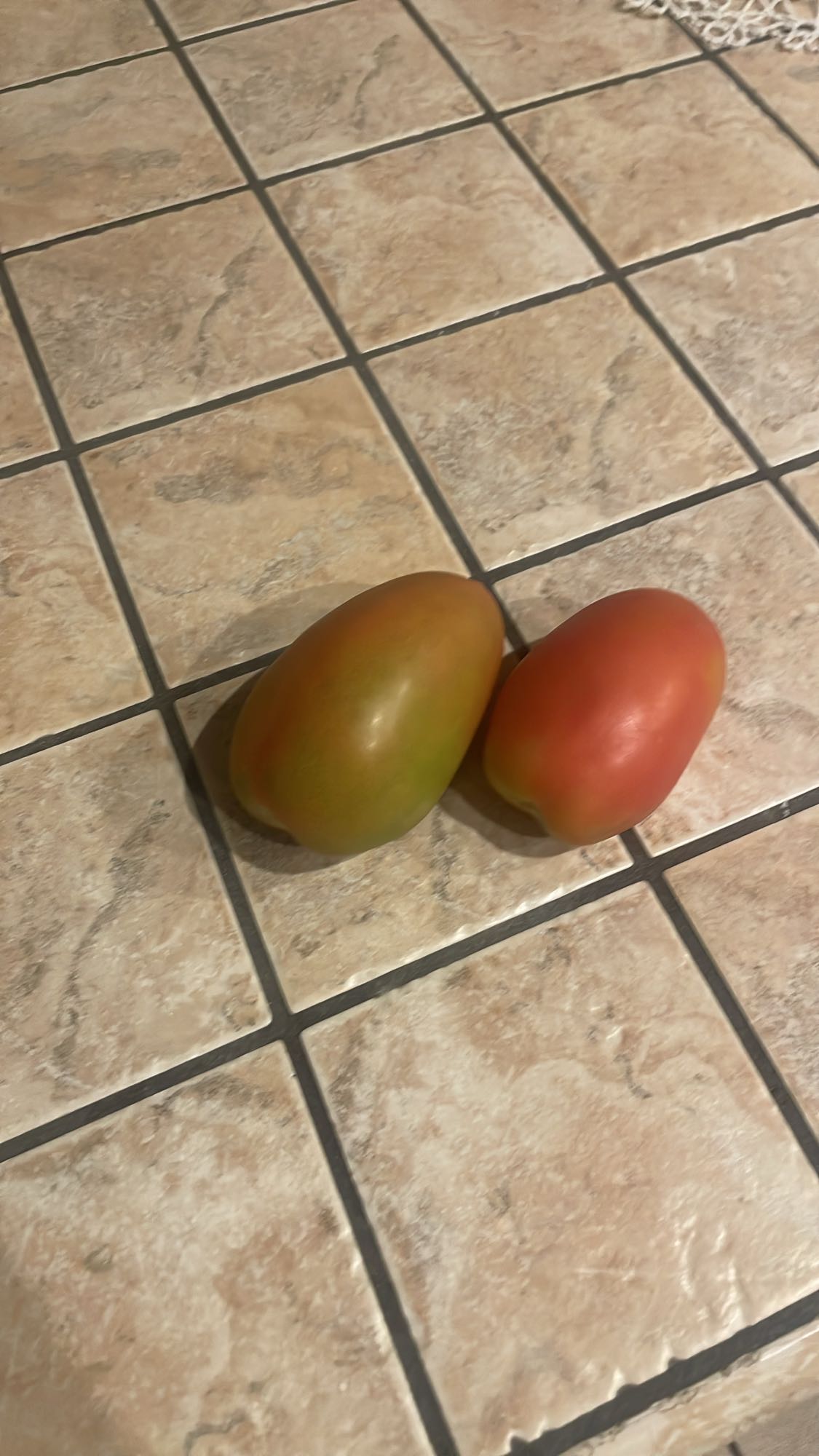 Tomatoes