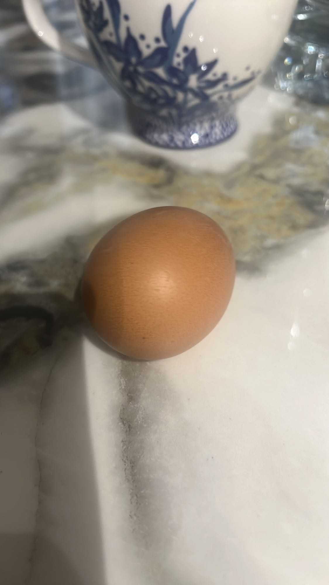 œuf entier