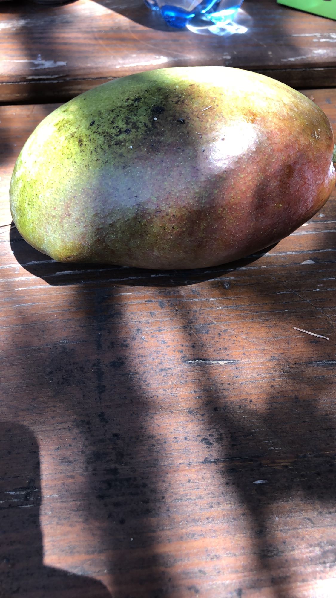 Mangue entière
