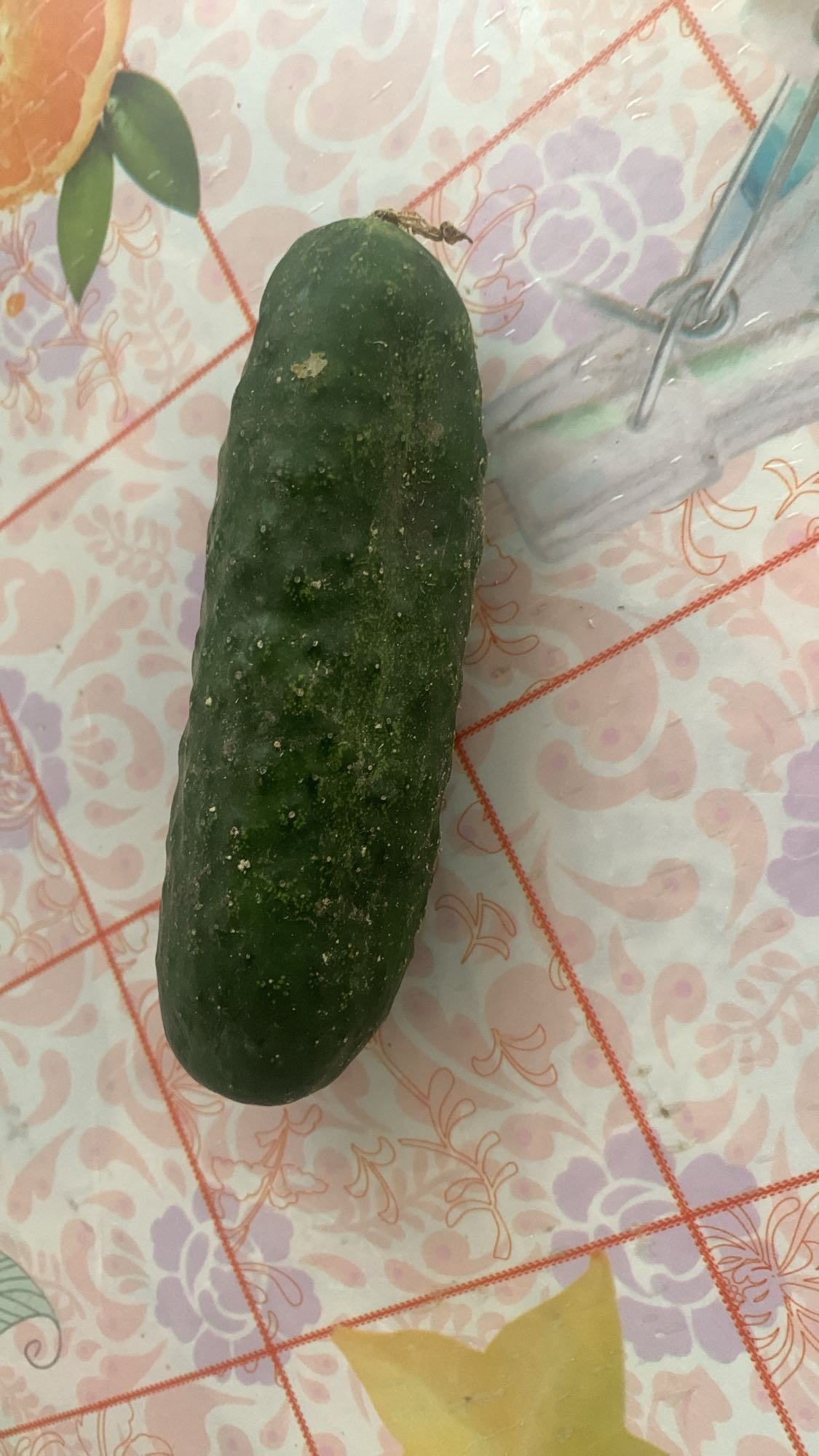 Castravete proaspăt