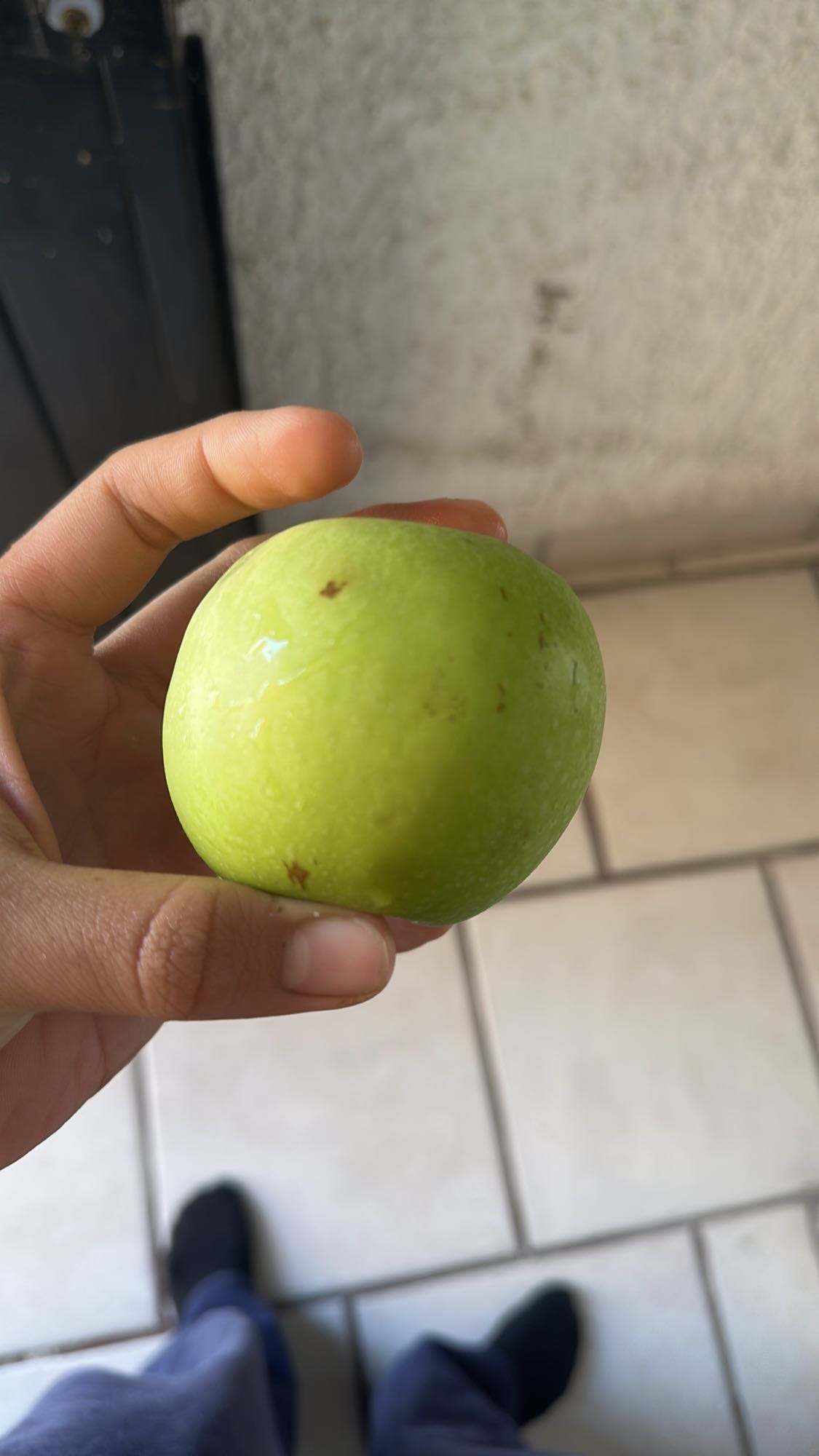 manzana verde entera