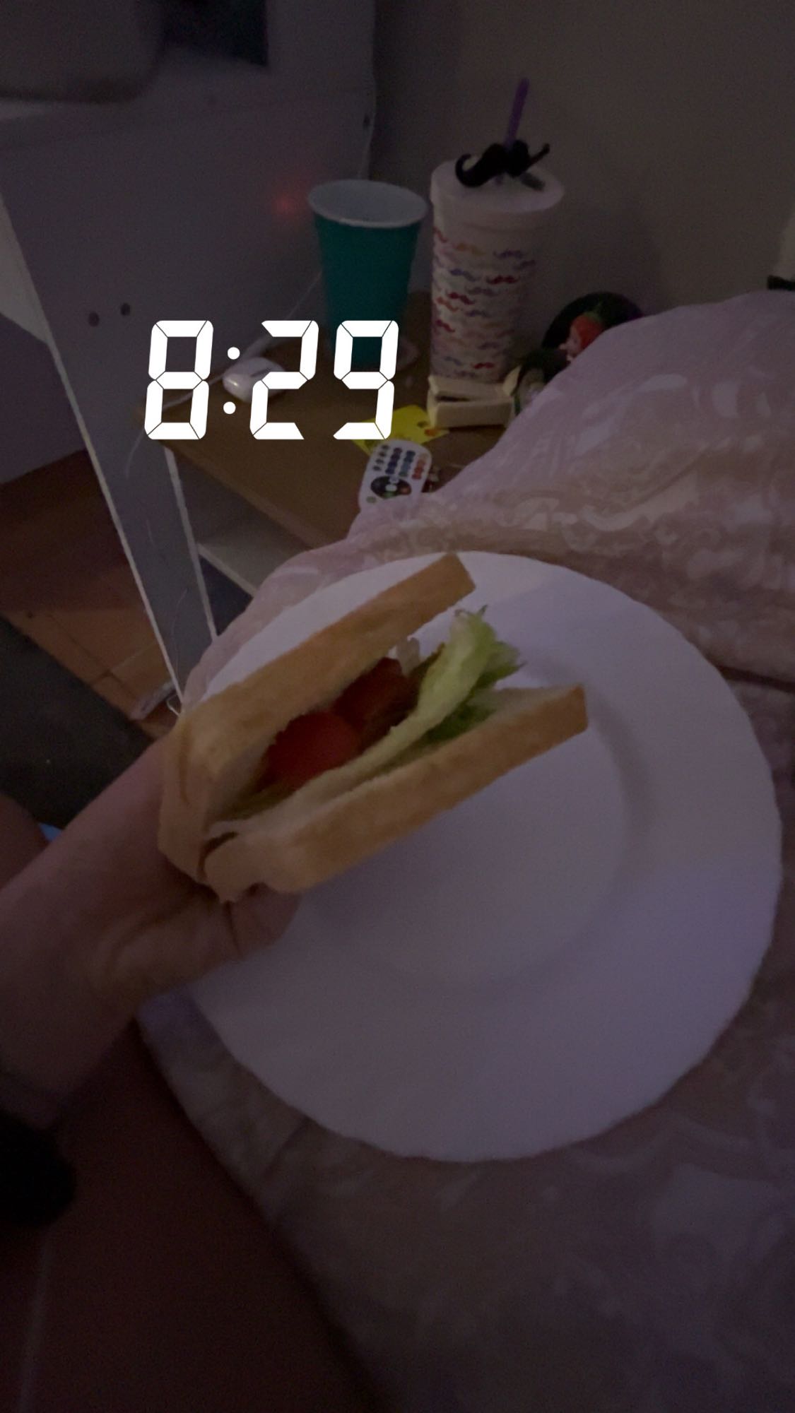 Simple Veggie Sandwich