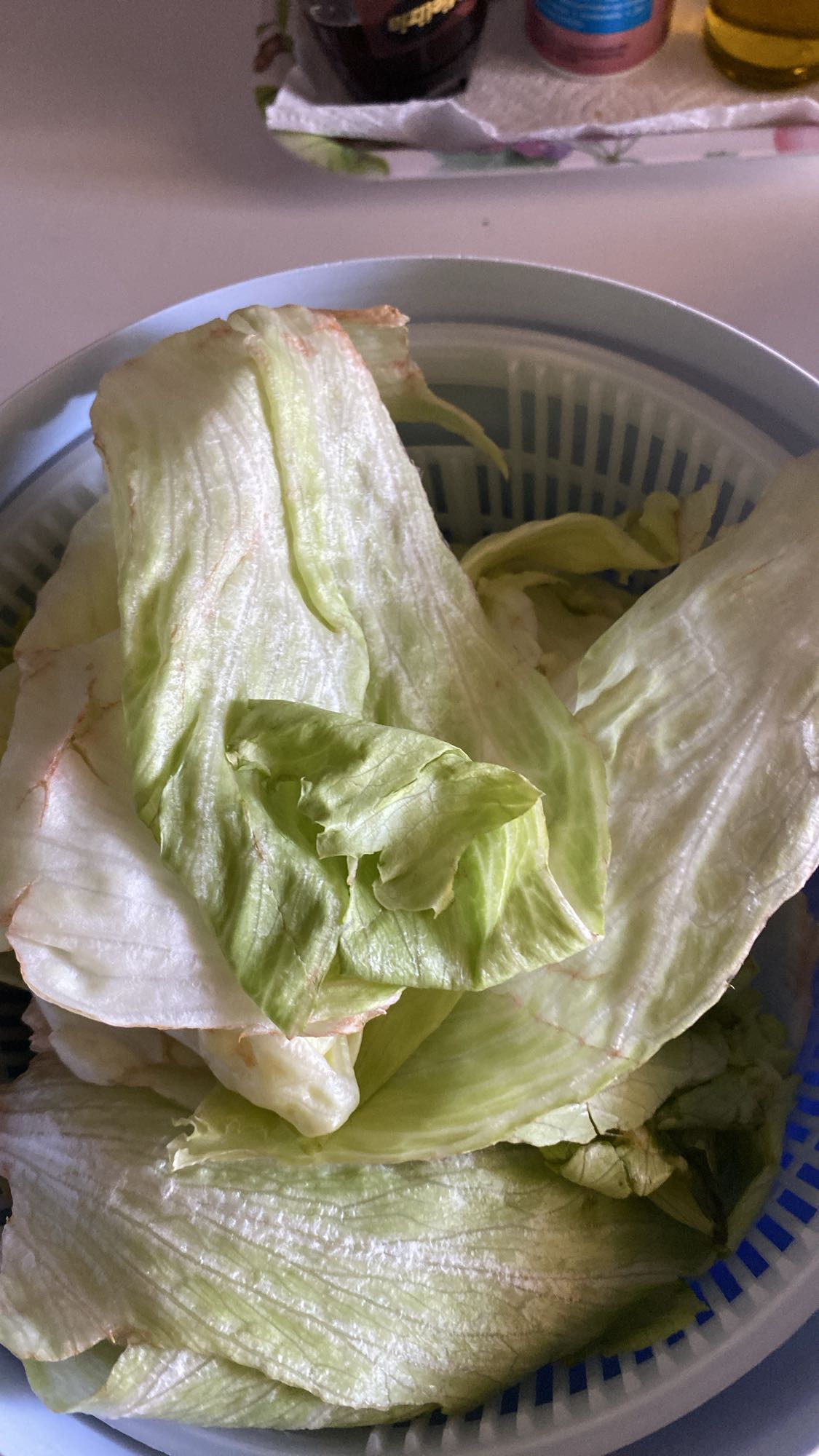 листя салату