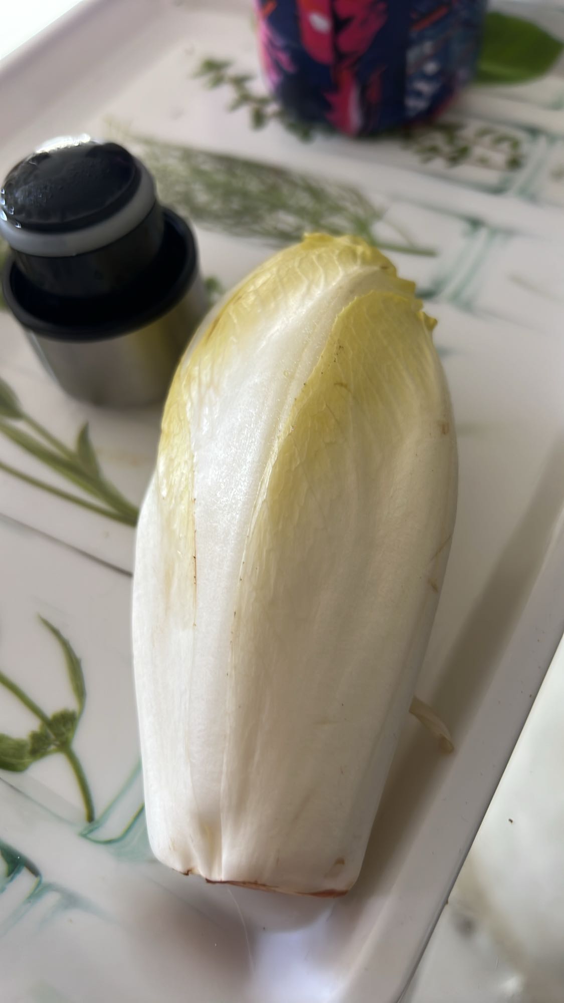 Endive fraîche