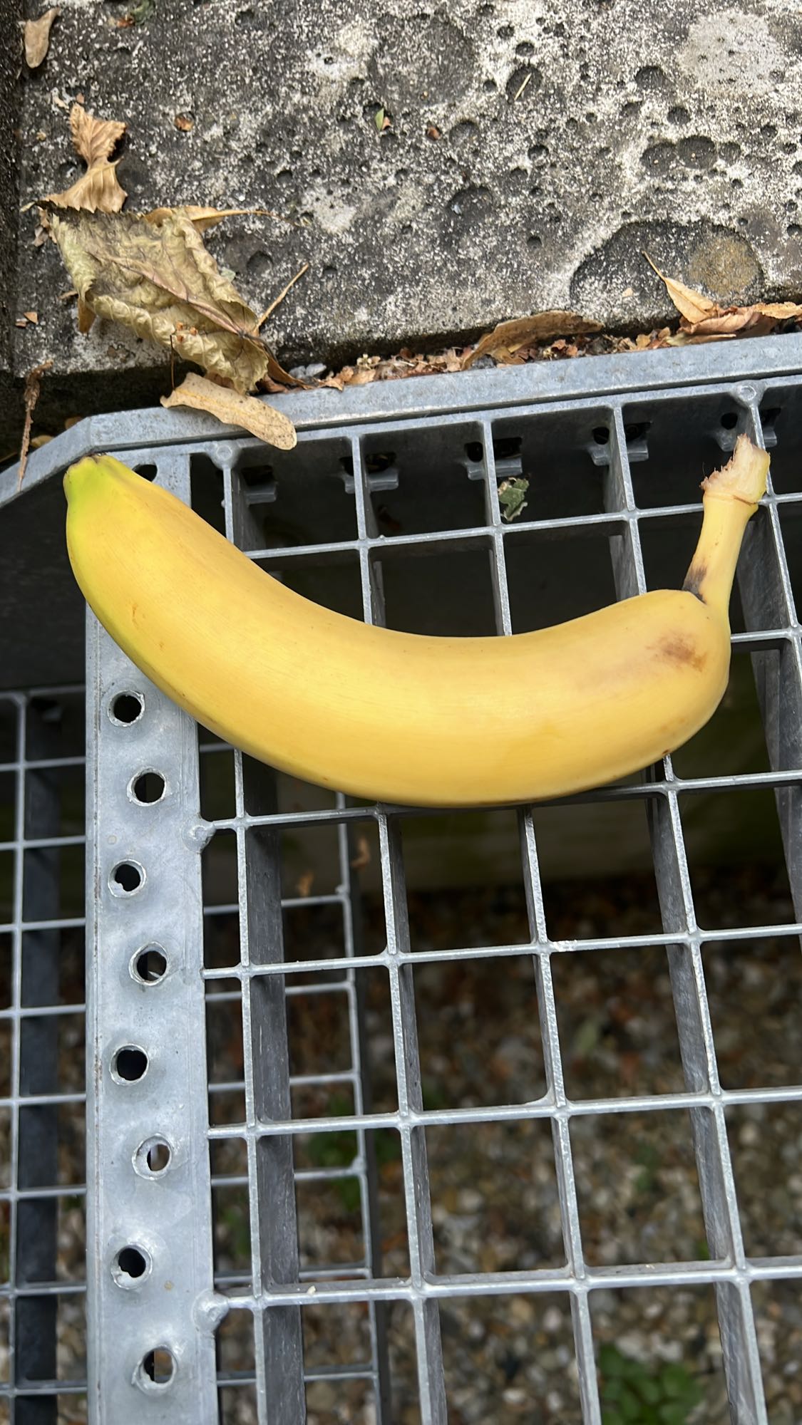 Banaan