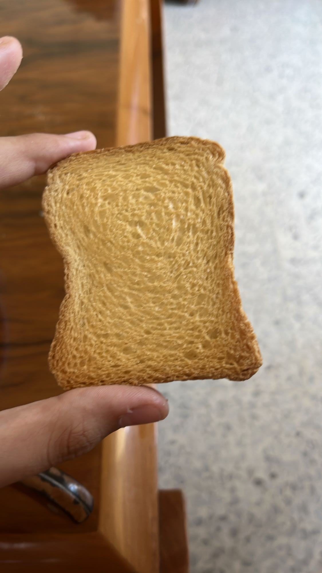 Plain Rusk Toast